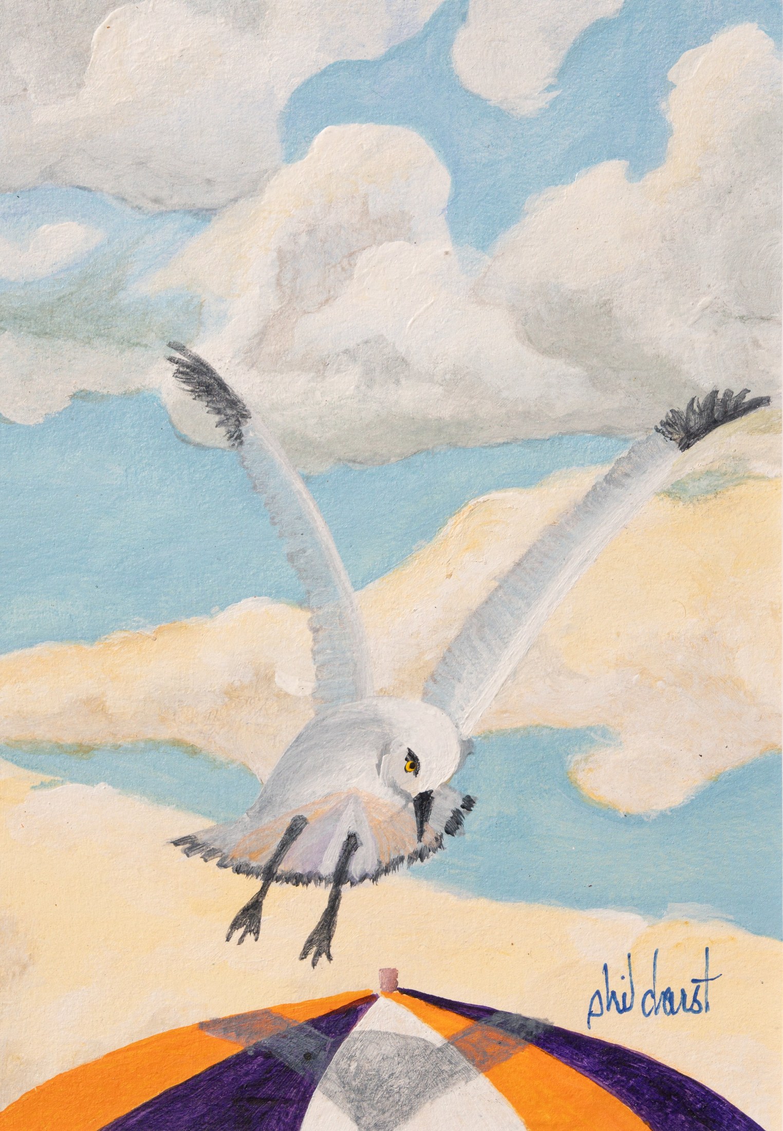 Seagull in Flight at Siesta Key Beach — Phil Darst Art