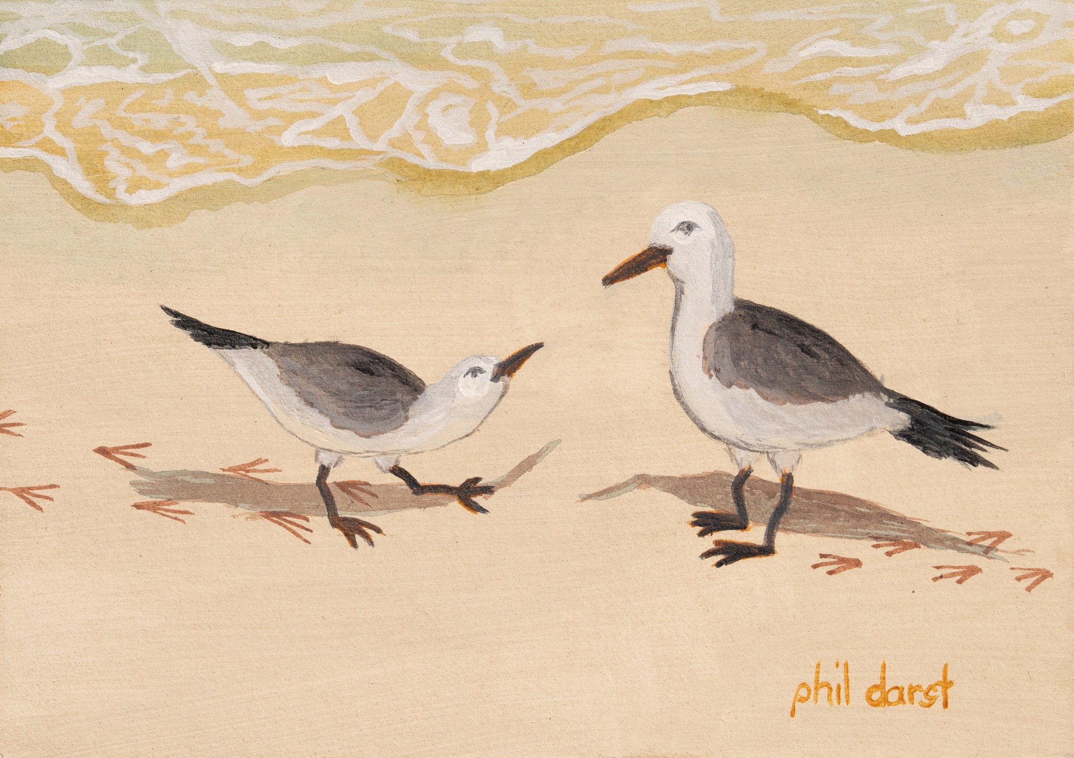 Seagulls in Conversation on Siesta Key Beach - Art Print &mdash; Phil Darst Art