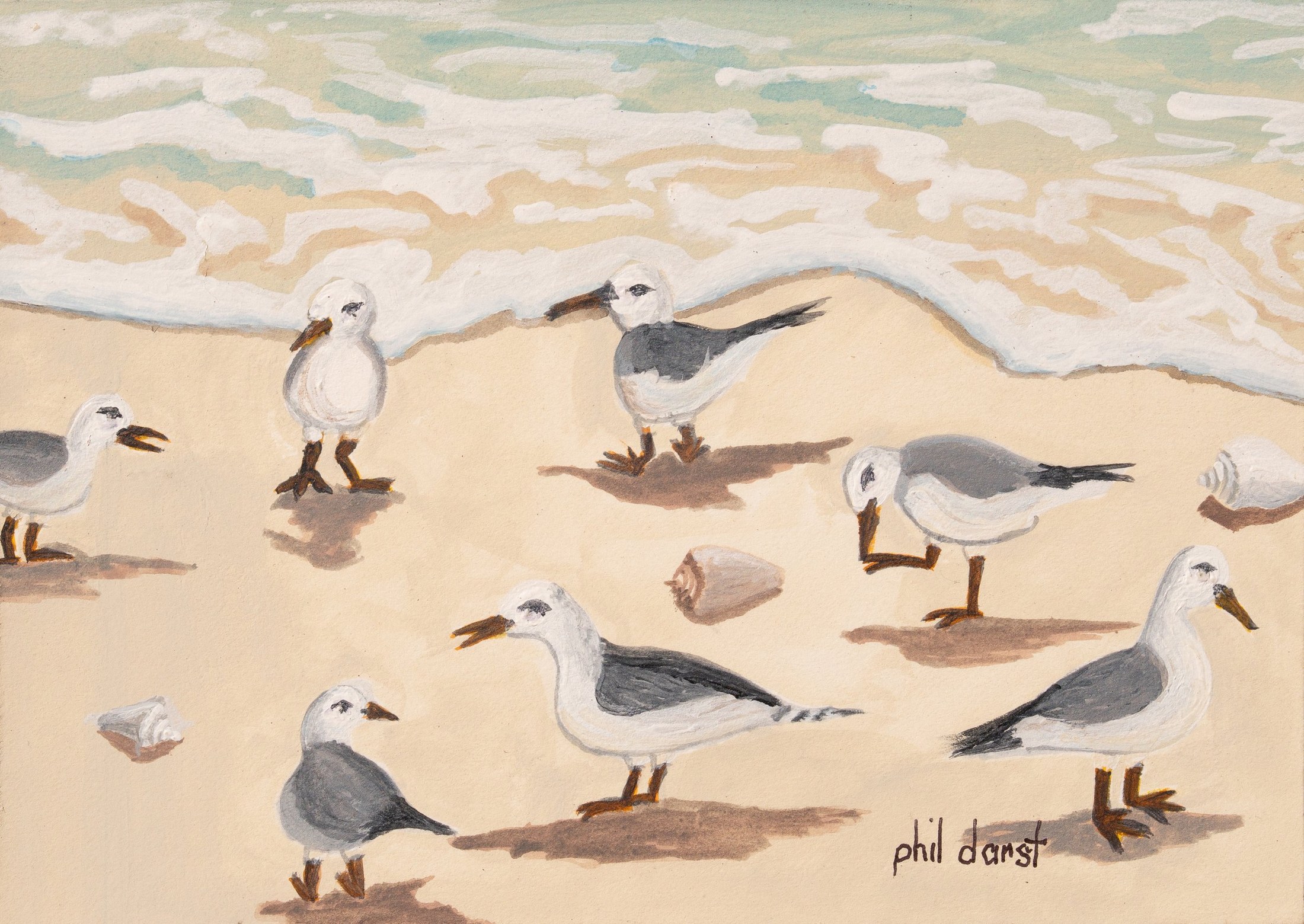 Seagulls and Seashells on Siesta Key Beach - Art Print — Phil Darst Art