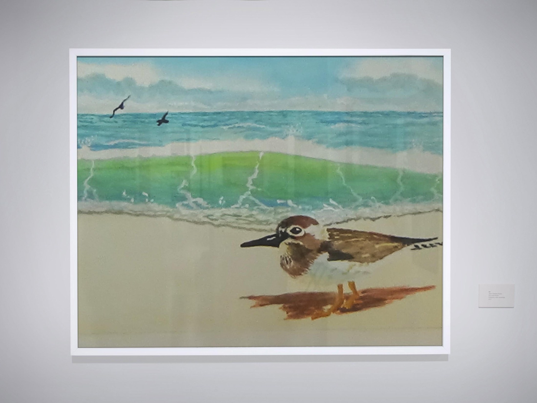 Sandpiper on the beach, original watercolor, view 2