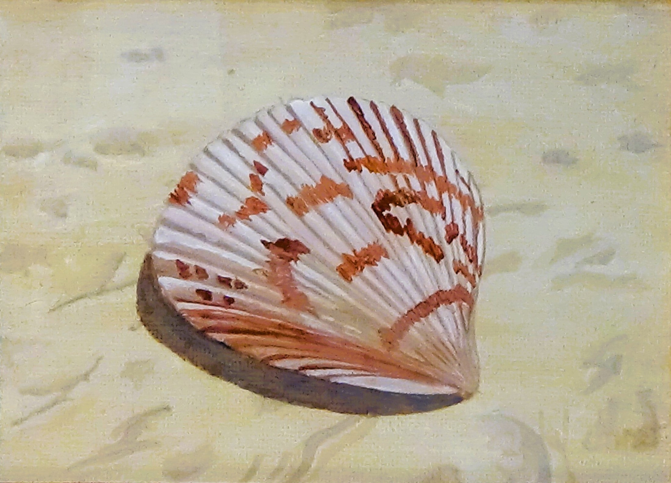 Beautiful Seashell on Sandy Beach #2