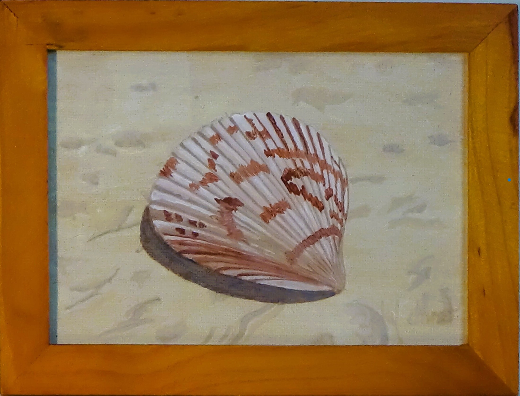 Beautiful Seashell on Sandy Beach #2, view 2