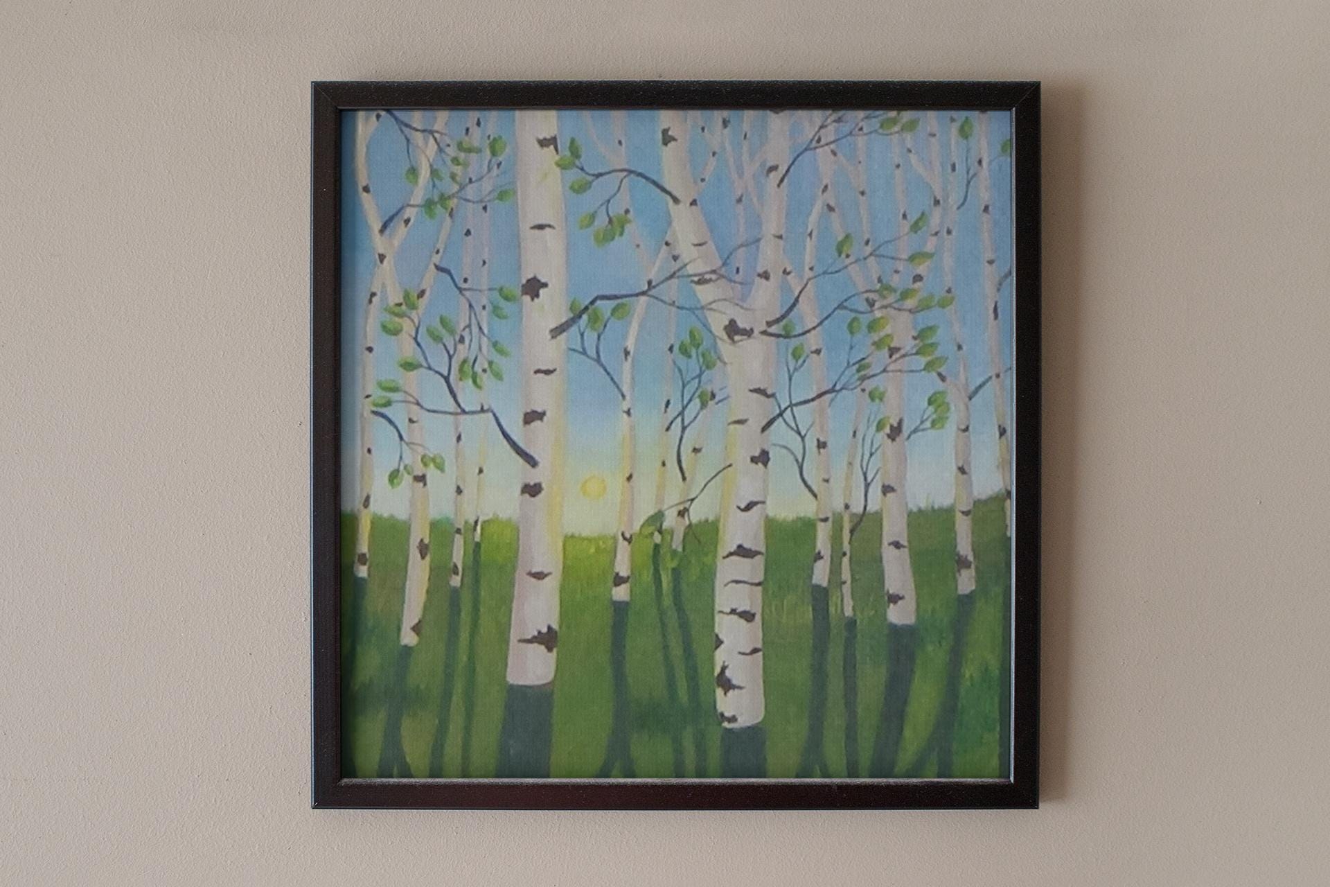 Birch tree forest in spring near sundown, view 3