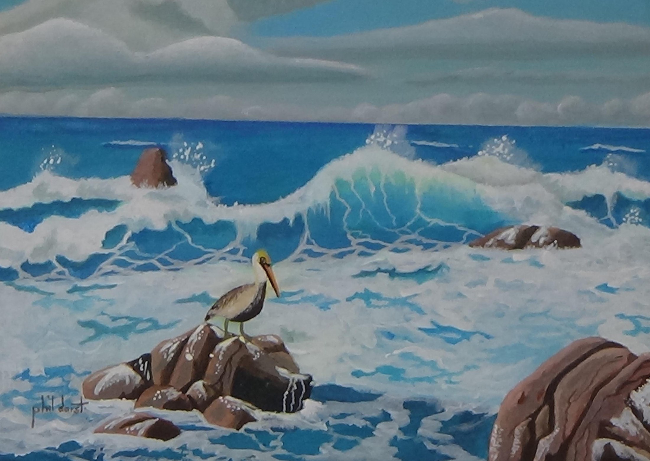 Pelican on a rock in the tropical ocean