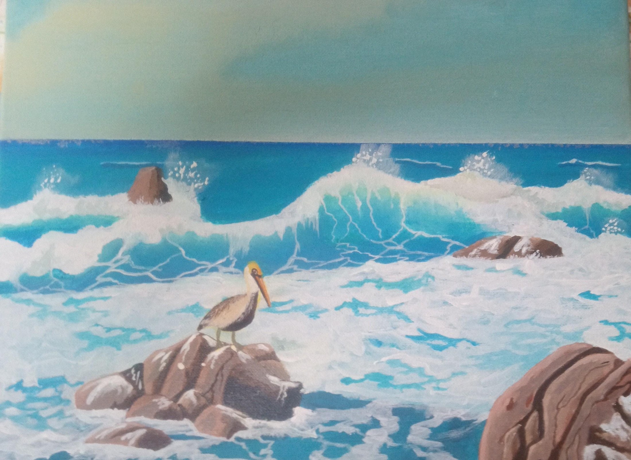 Pelican on a rock in the tropical ocean, view 2