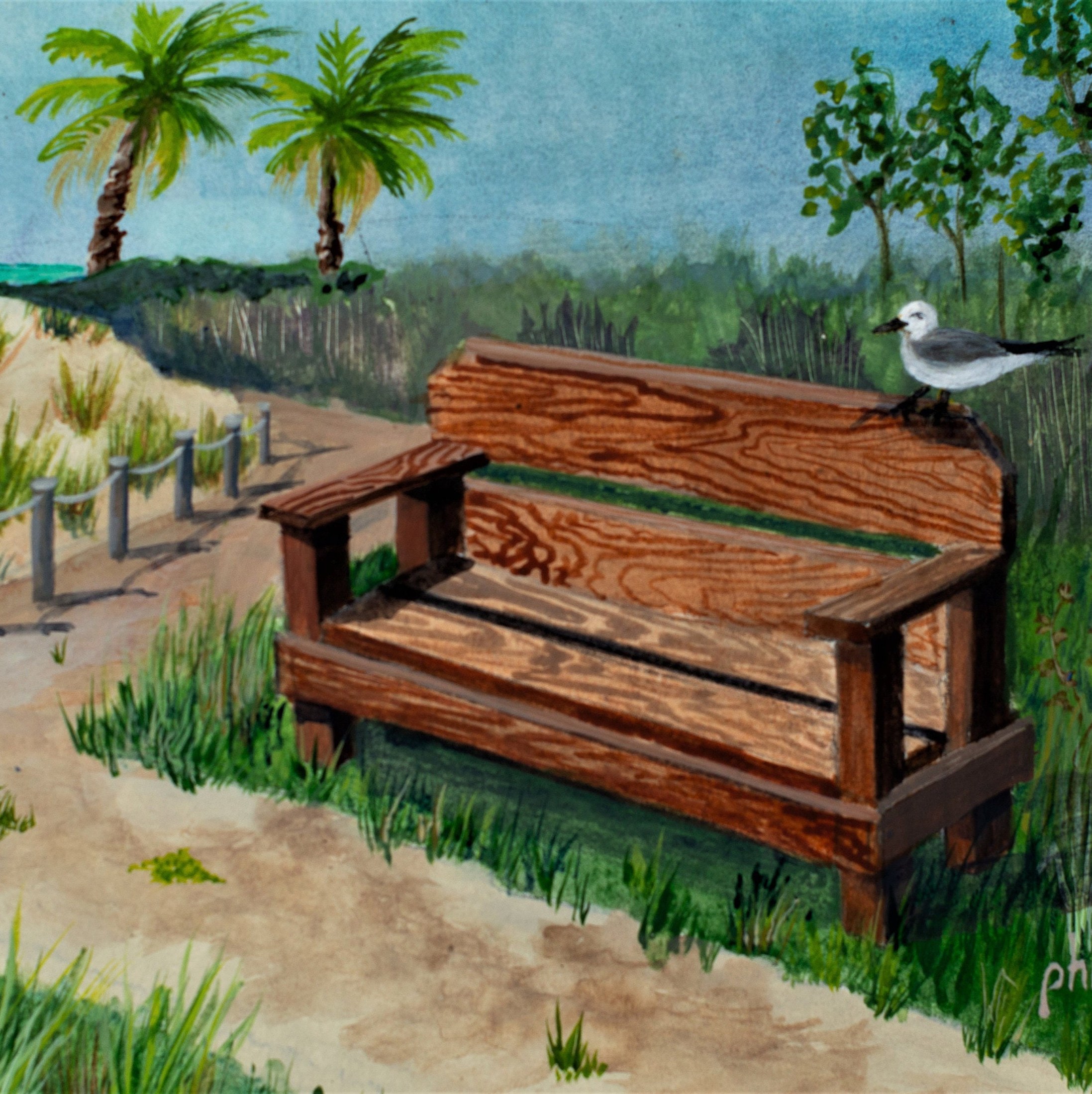 Seagull Perched on Bench on Siesta Key Beach