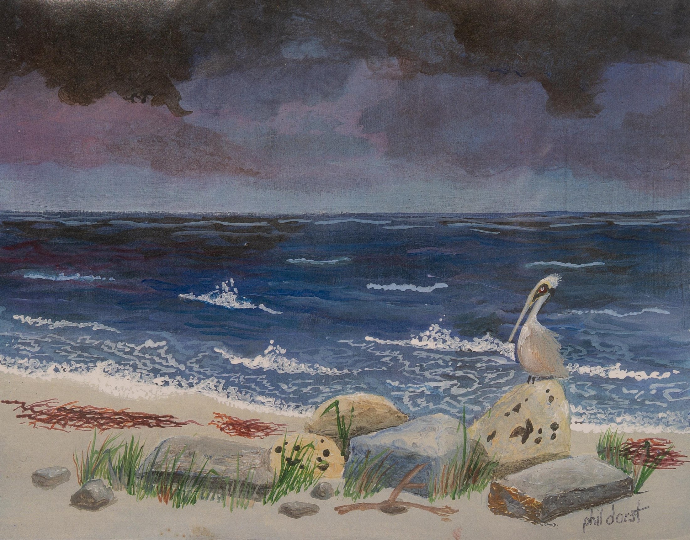 Pelican on a rock in a coming storm