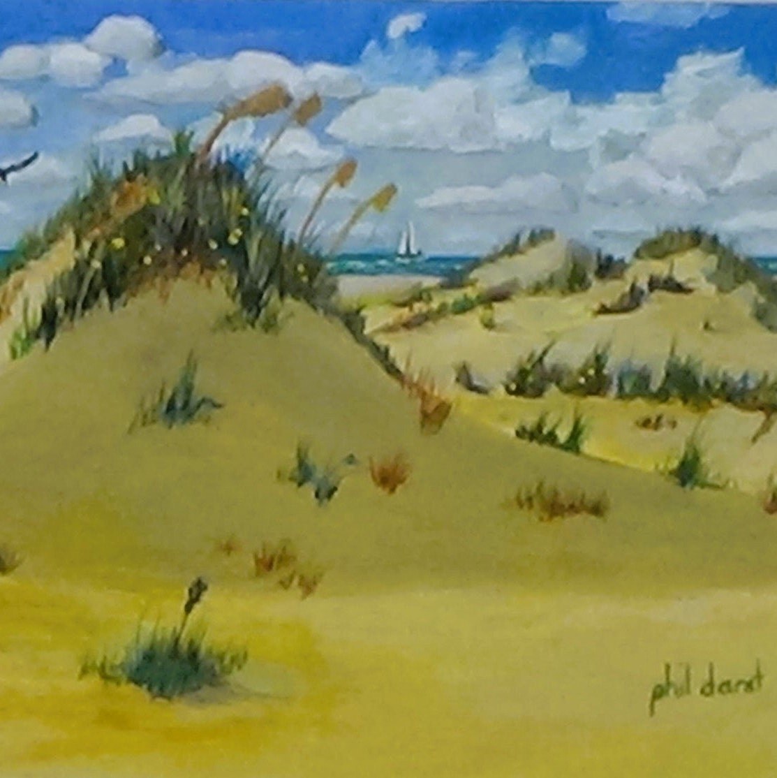 Sand dunes on beach Siesta Key Beach Tropical beach print Florida souvenir seagull in flight cloudy sky fine art print at ocean edge