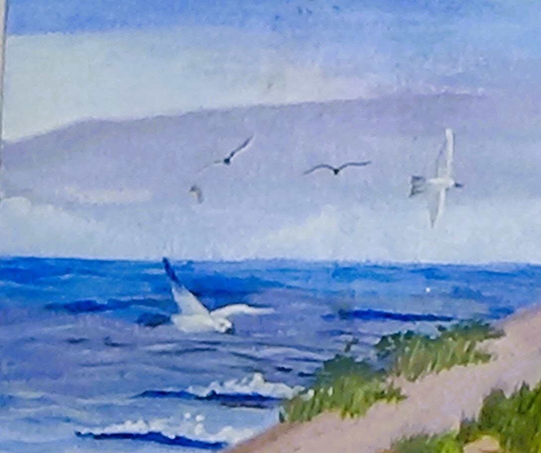 Flamingo Hotel on the beach, view 2