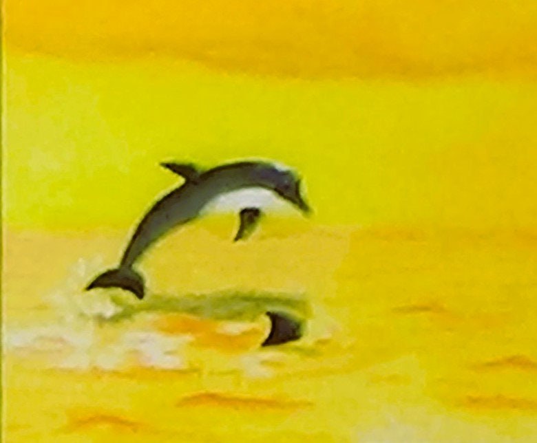 Dolphin diving into the tropical sea at golden sunset, Pastel painting print, view 2
