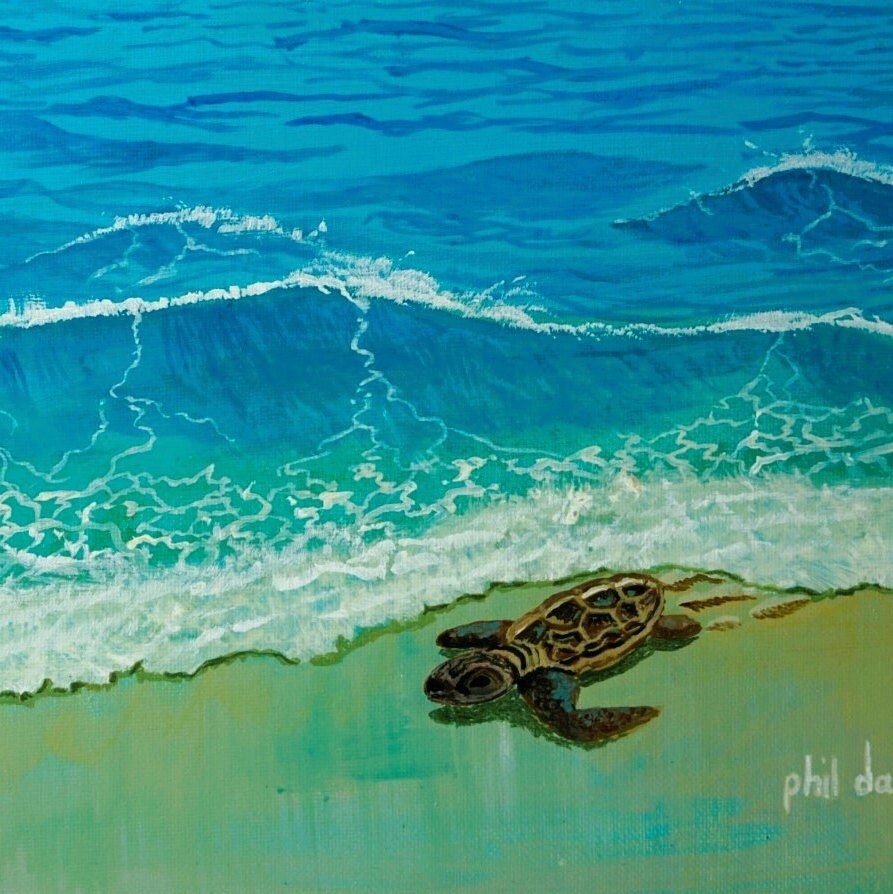 Baby Sea Turtle Beach Scene Print - Siesta Key Coastal Decor
