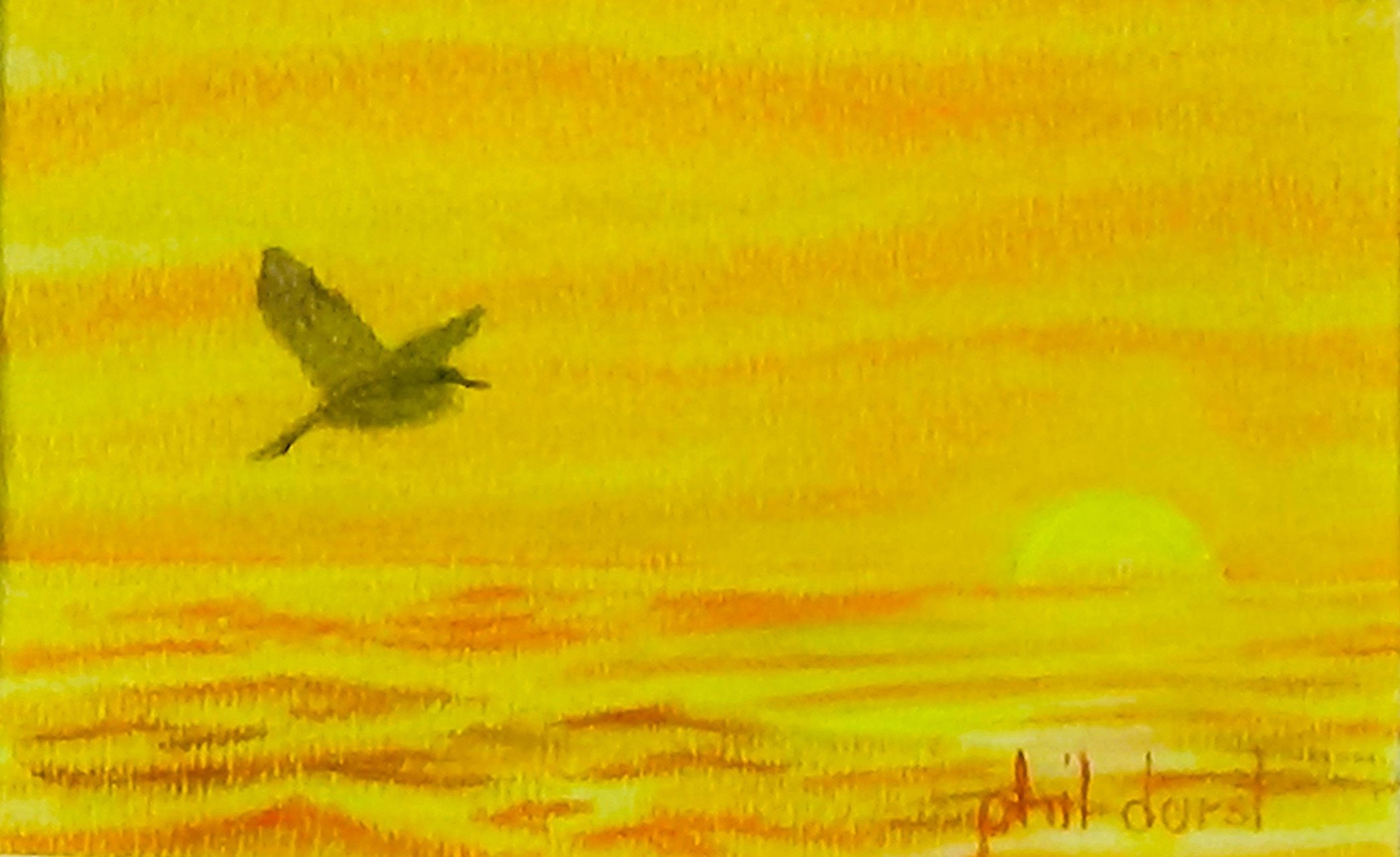Pelican in flight in a golden sky