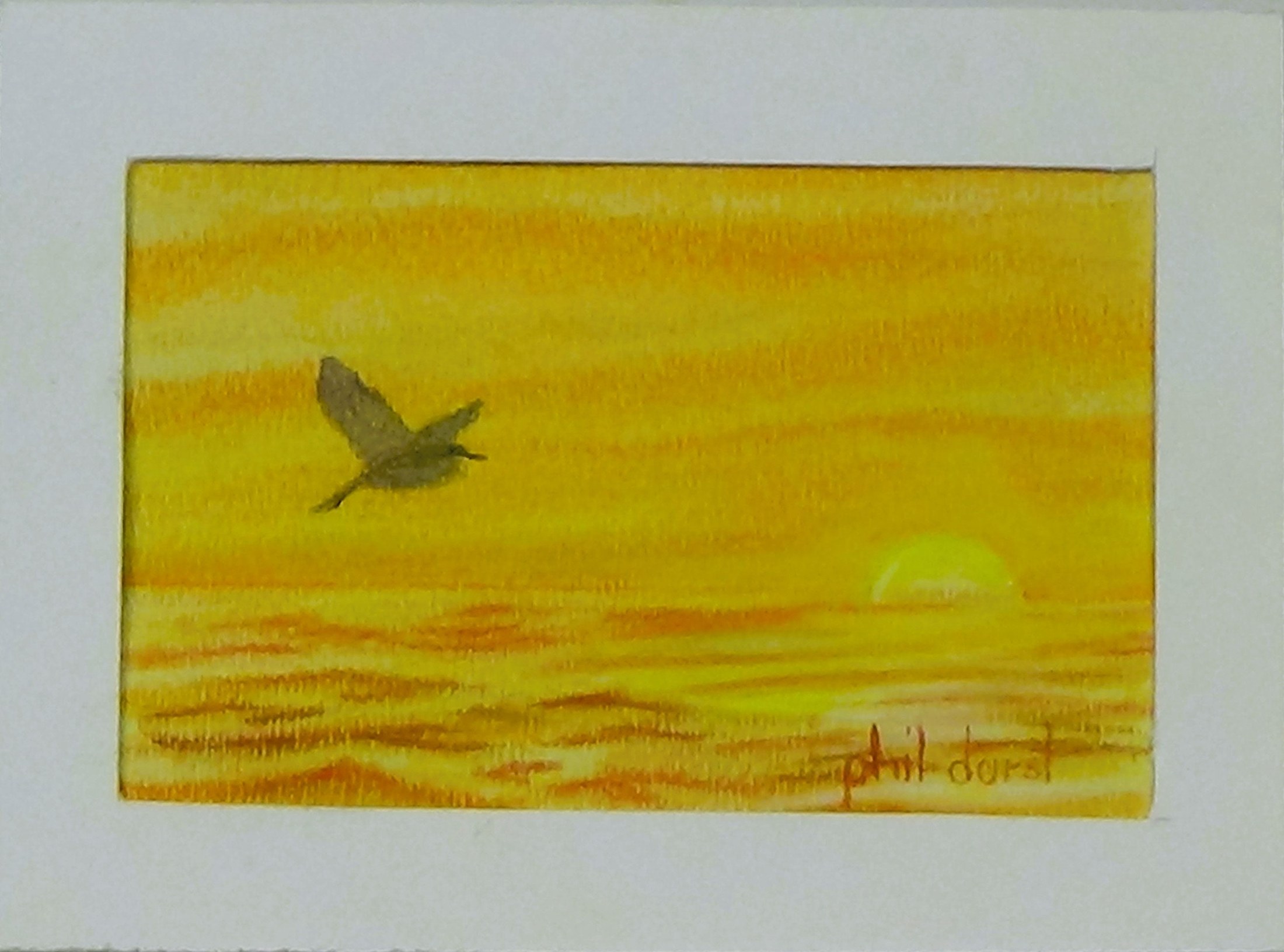 Pelican in flight in a golden sky, view 2