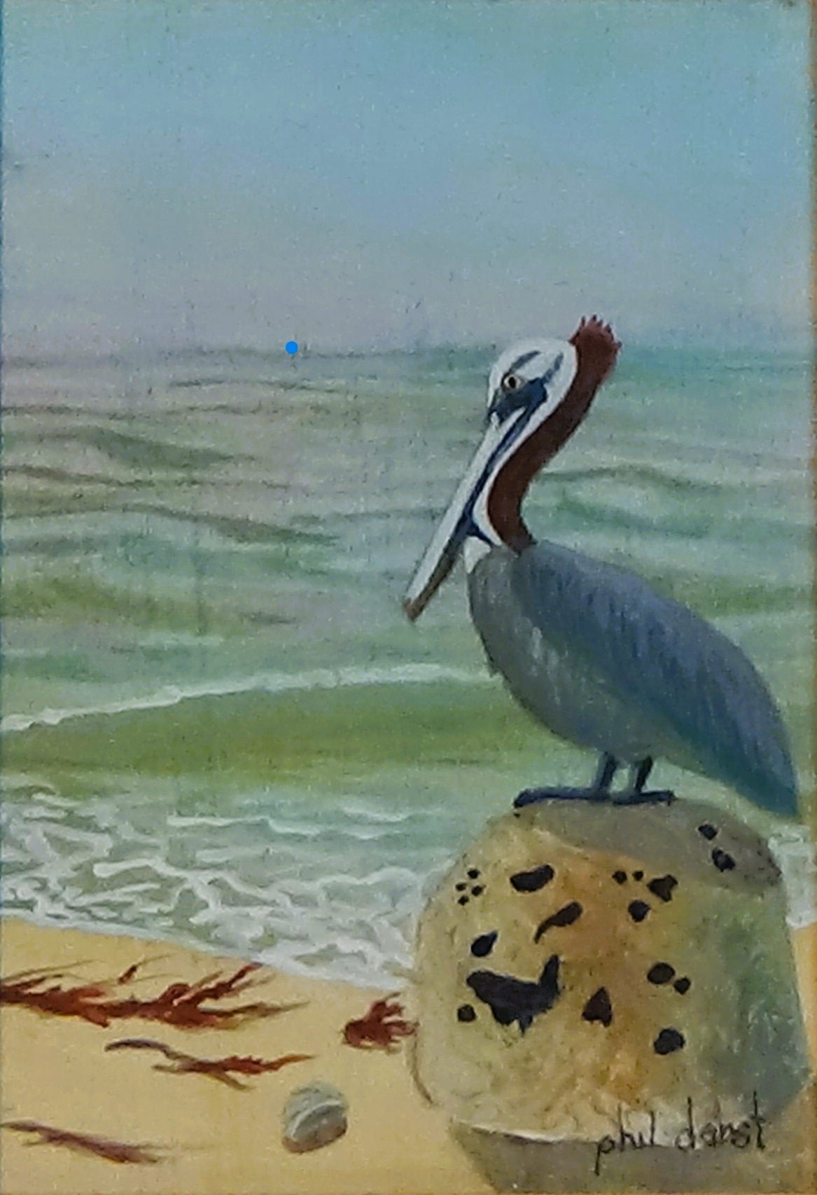 Pelican on a rock, Original Acrylic Painting