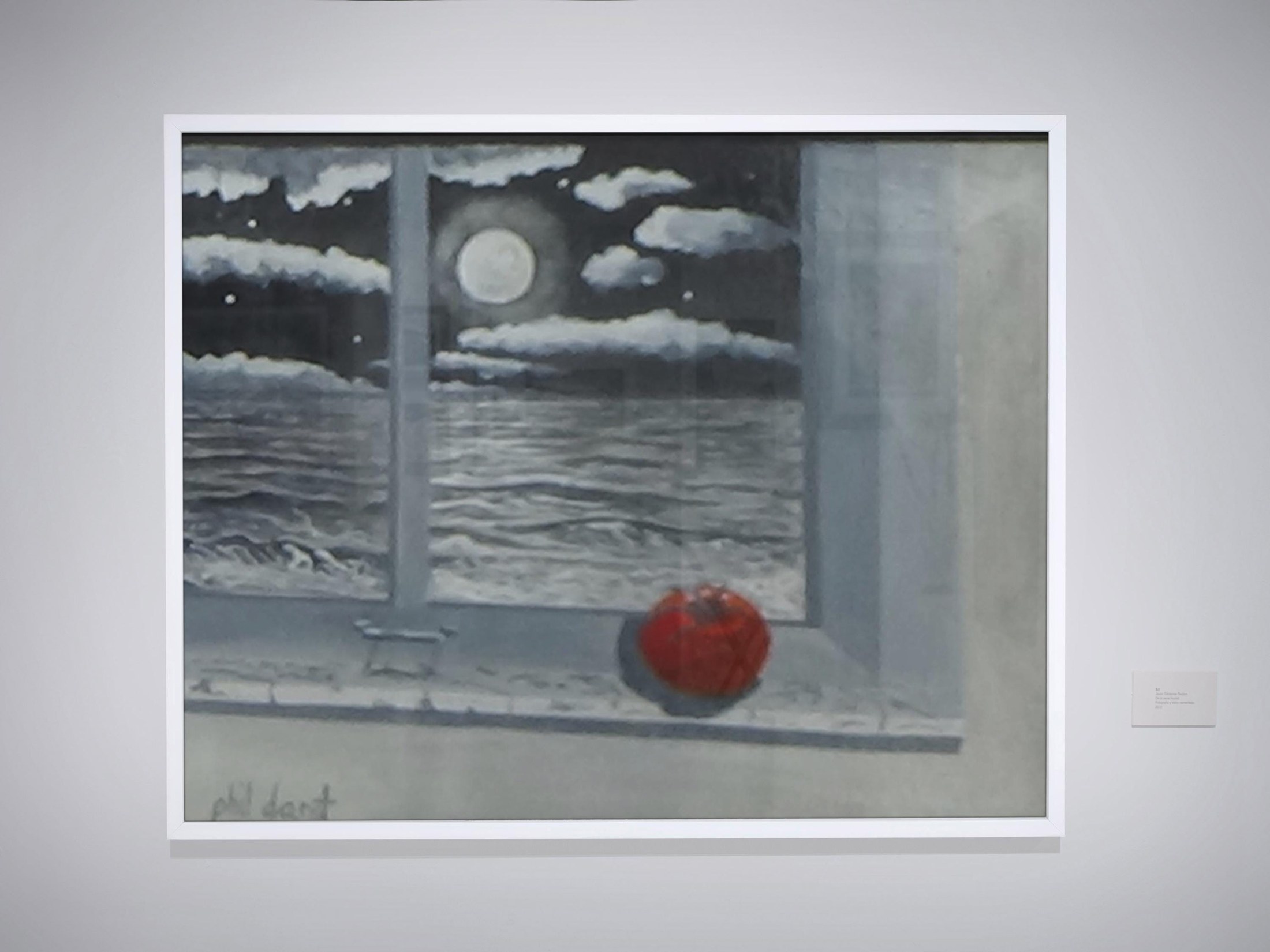Florida Wall Decor Print, ripe tomato on Windowsill, Moonlight Ocean View, wall art print, view 2