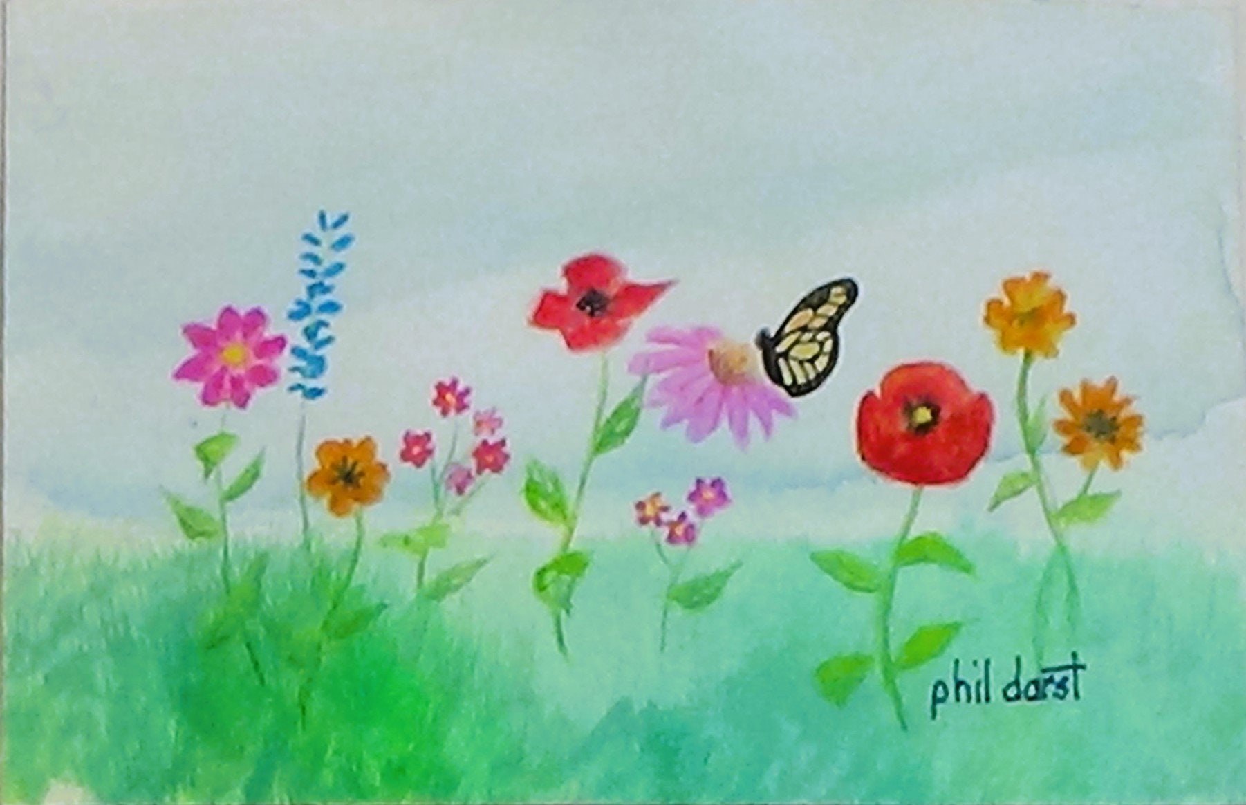 Watercolor pencil painting minimal wall art colorful flowers bright red Poppies butterfly on the flower Minimal art wall decor Phil Darst
