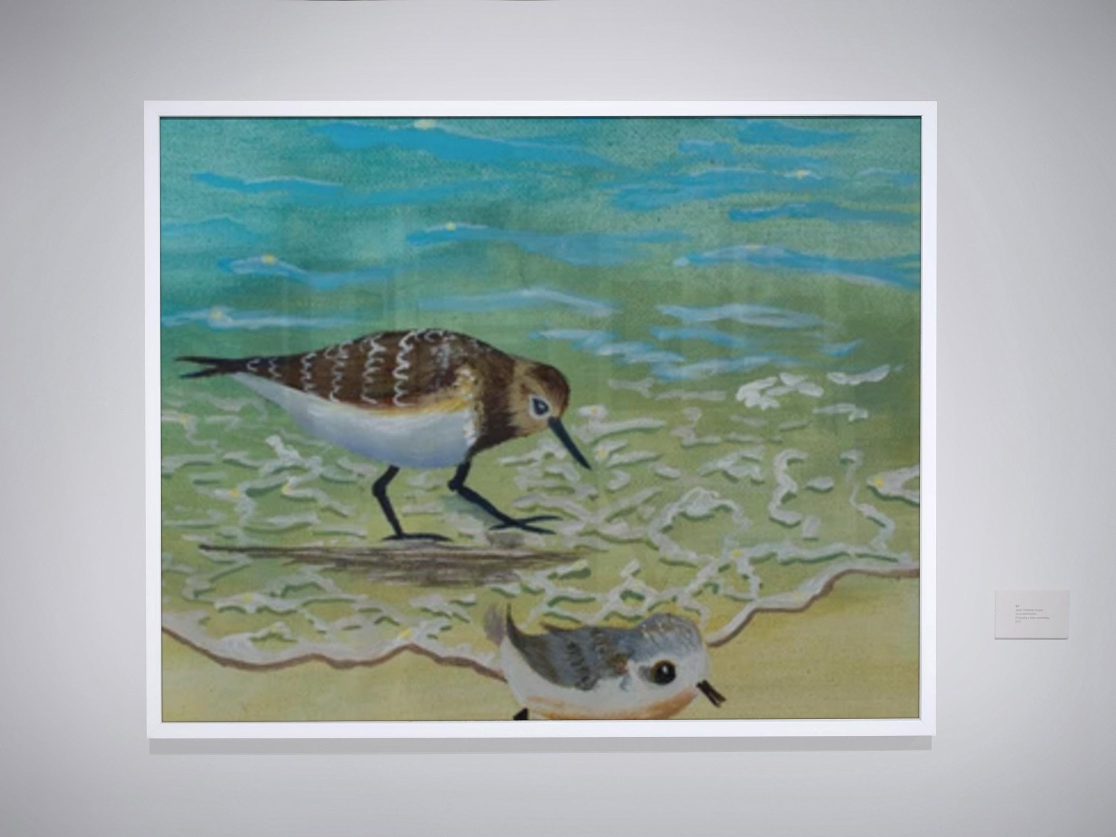 Tropical Beach Scene Baby Sandpiper Wall Decor Print by Phil Darst, view 2
