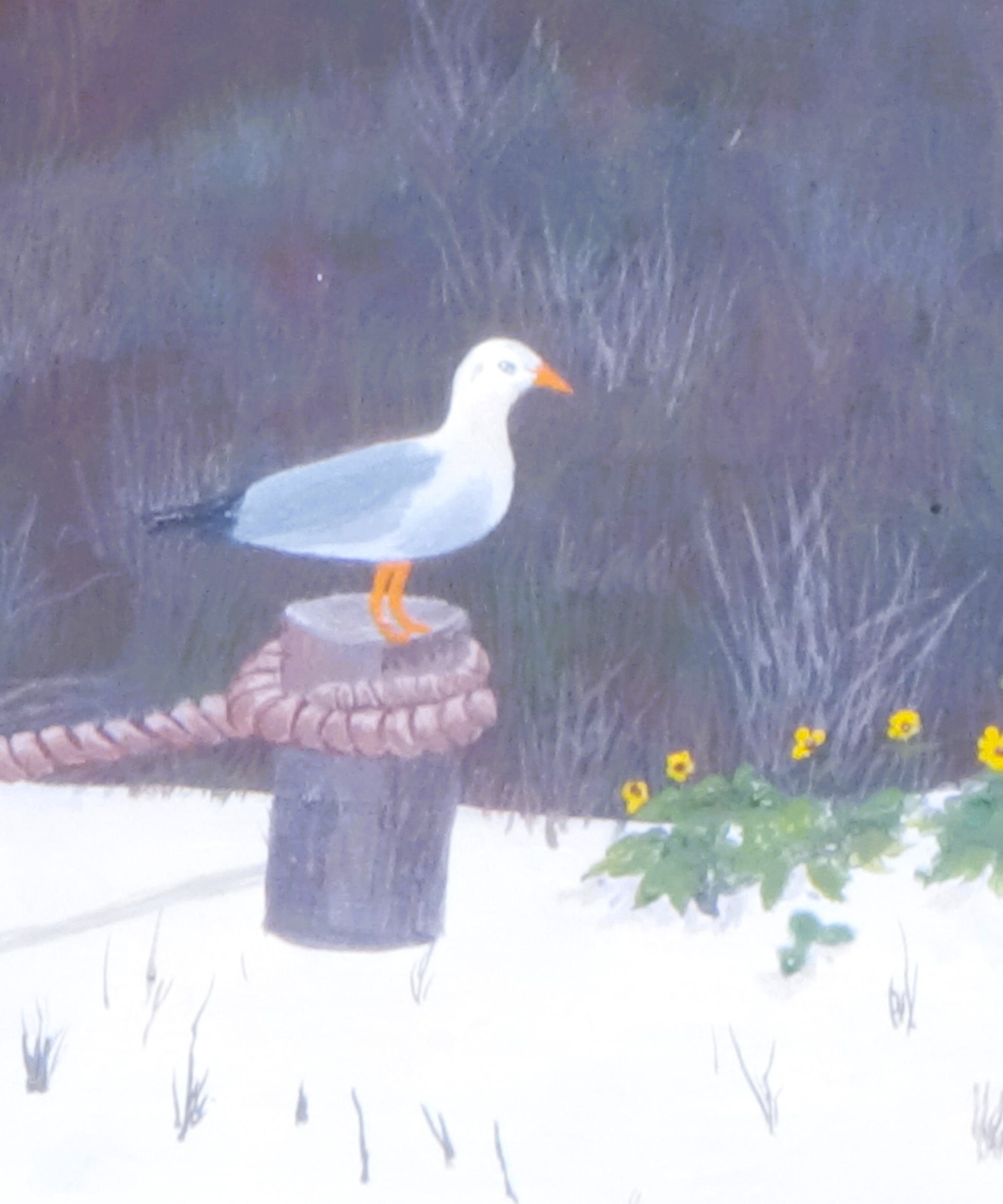 seagull on post looking at yellow wildflowers on siesta key sandy beach florida beach scene wildlife print Phil Darst
