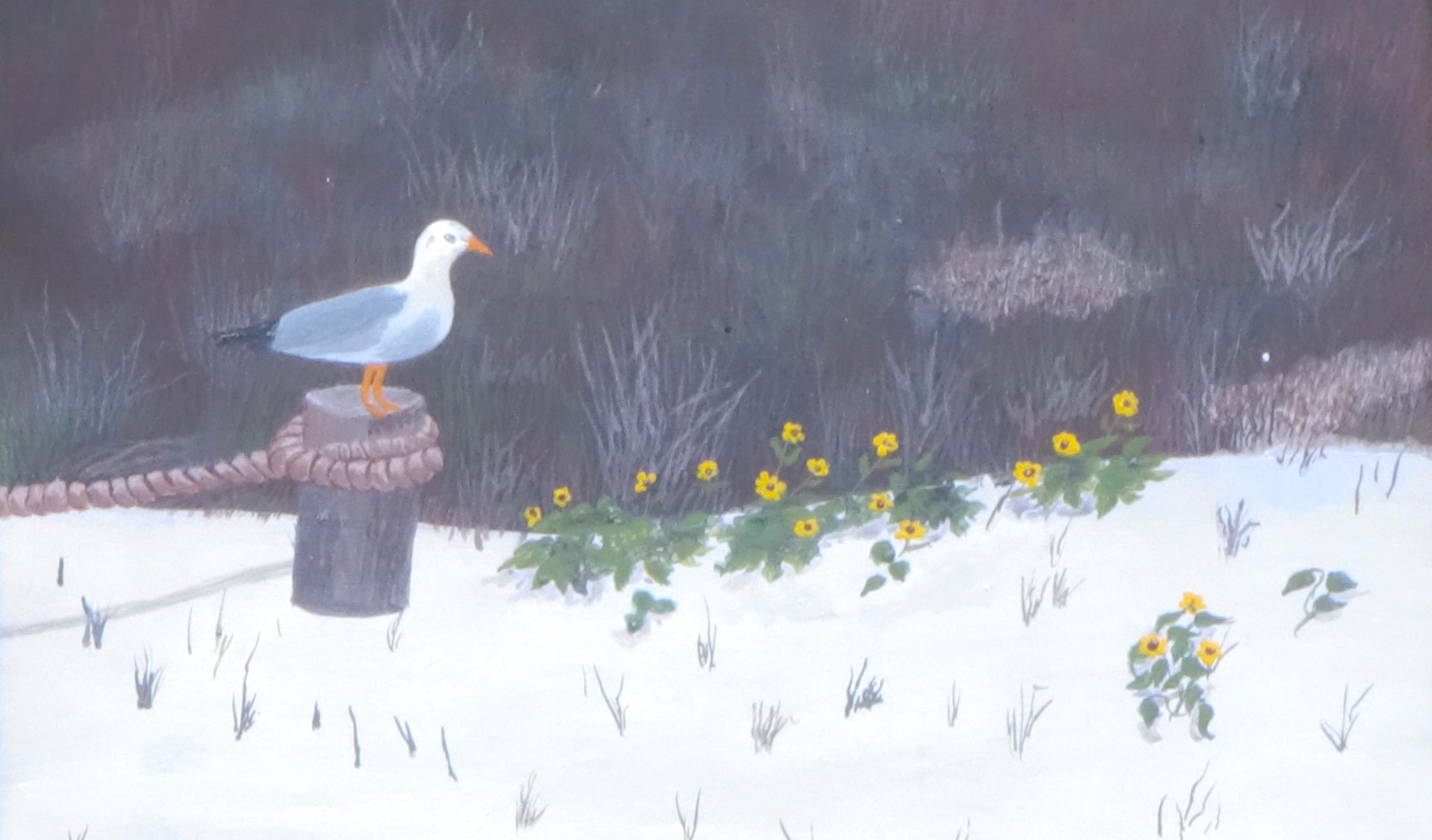 seagull on post looking at yellow wildflowers on siesta key sandy beach florida beach scene wildlife print Phil Darst, view 2