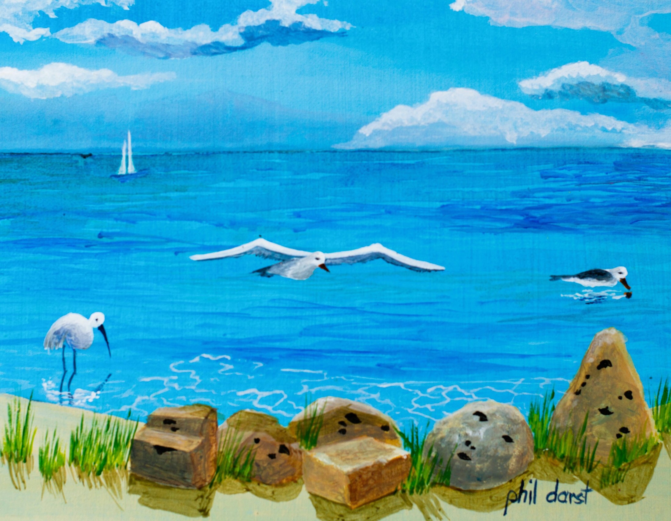 Seagulls in flight at the Beach Siesta Key beach tropical beach print by Phil Darst