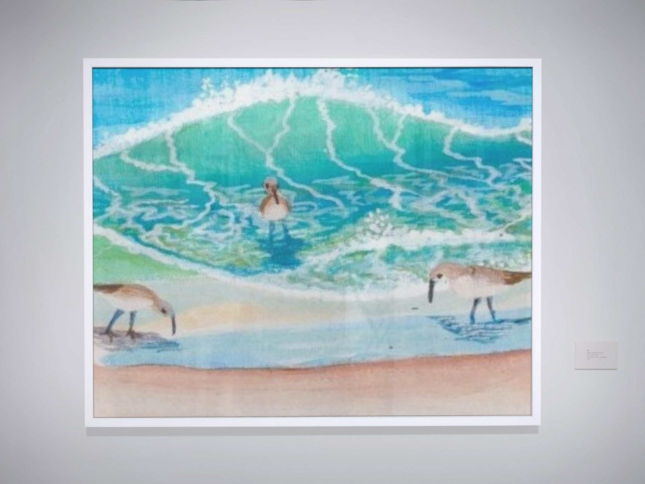 Florida Beach Scene: Sandpipers Feeding amidst Crashing Waves on a Florida shore., view 2