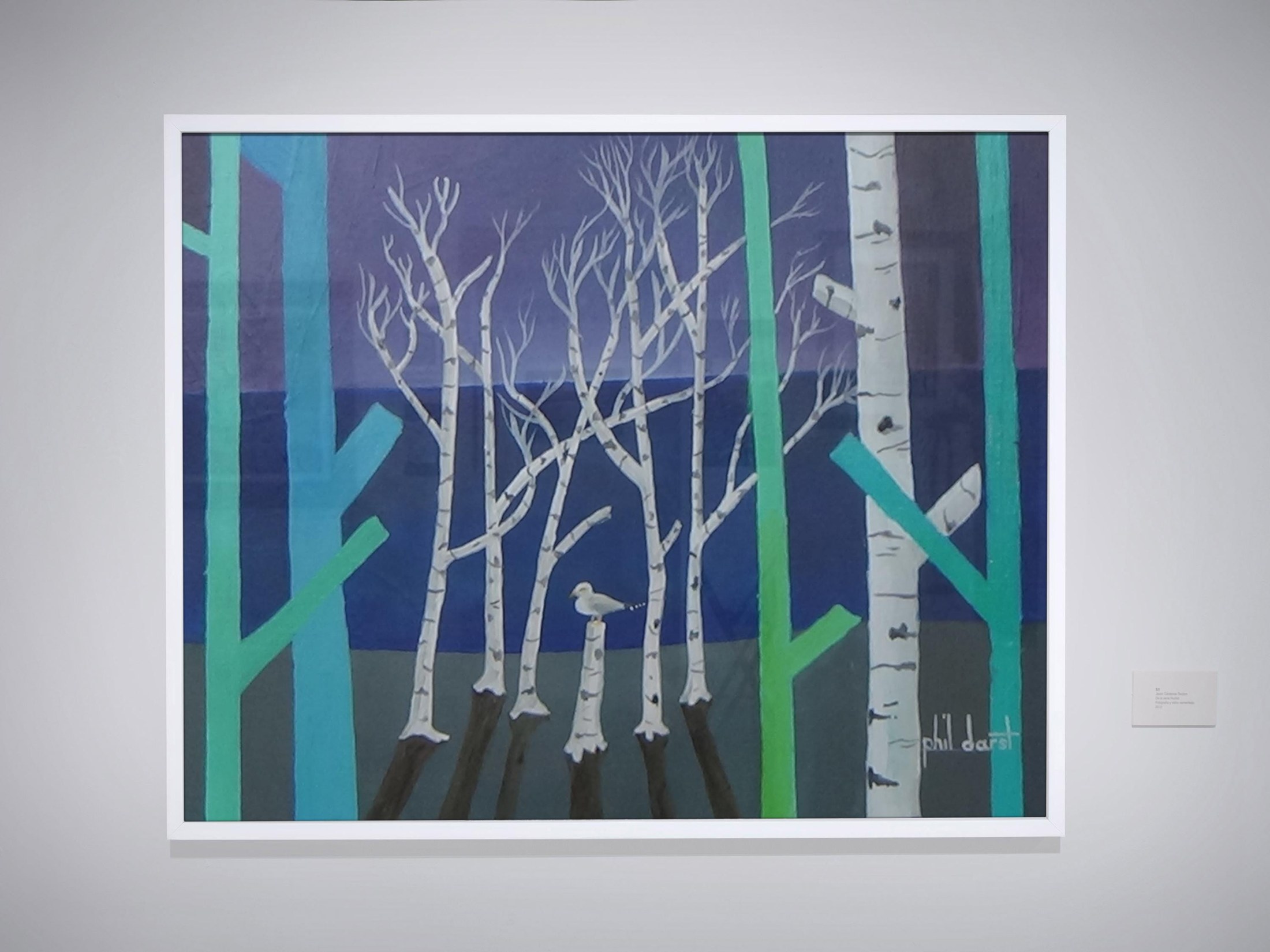Mystical Birch Trees at Twilight, view 2