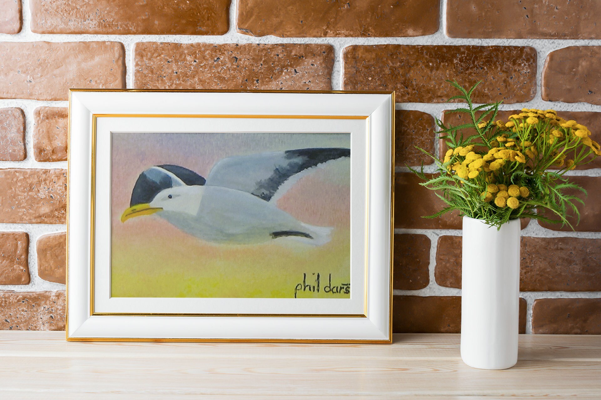 Seagull in flight, view 3
