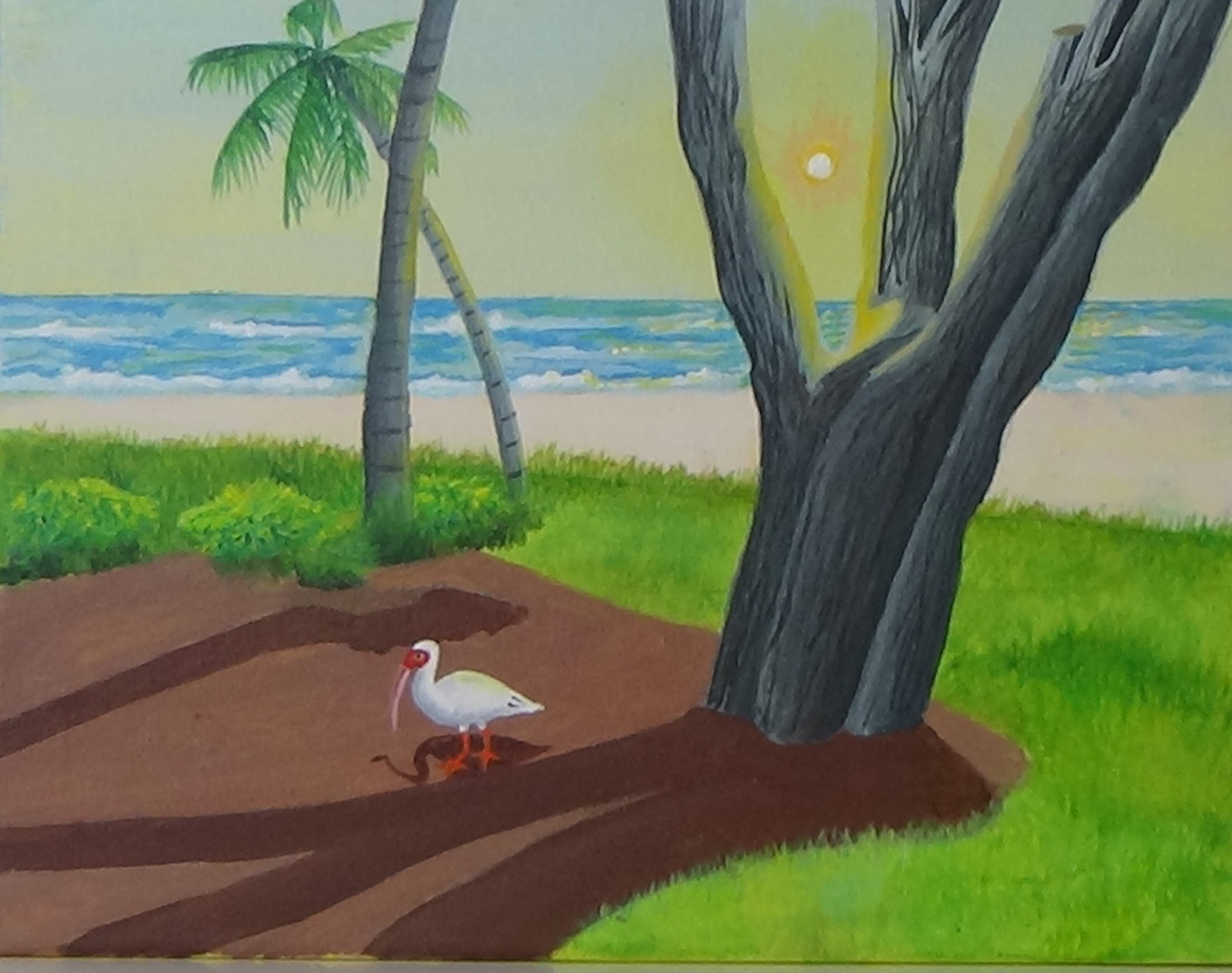 Egret feeding on Seaside Shoreline