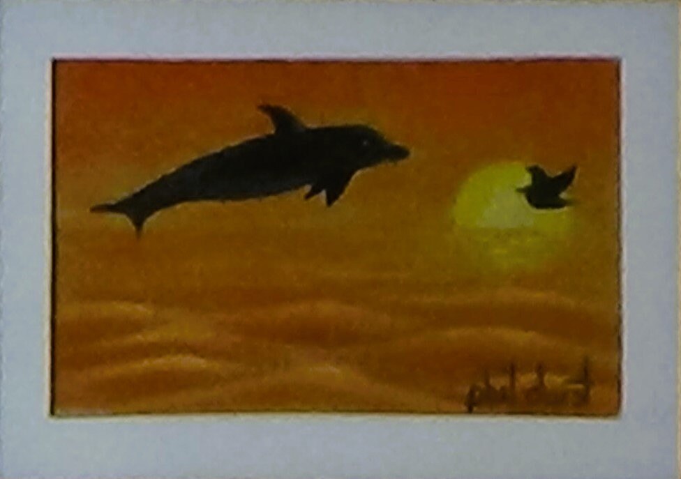 Diving dolphin at Siesta Key Sunset.
