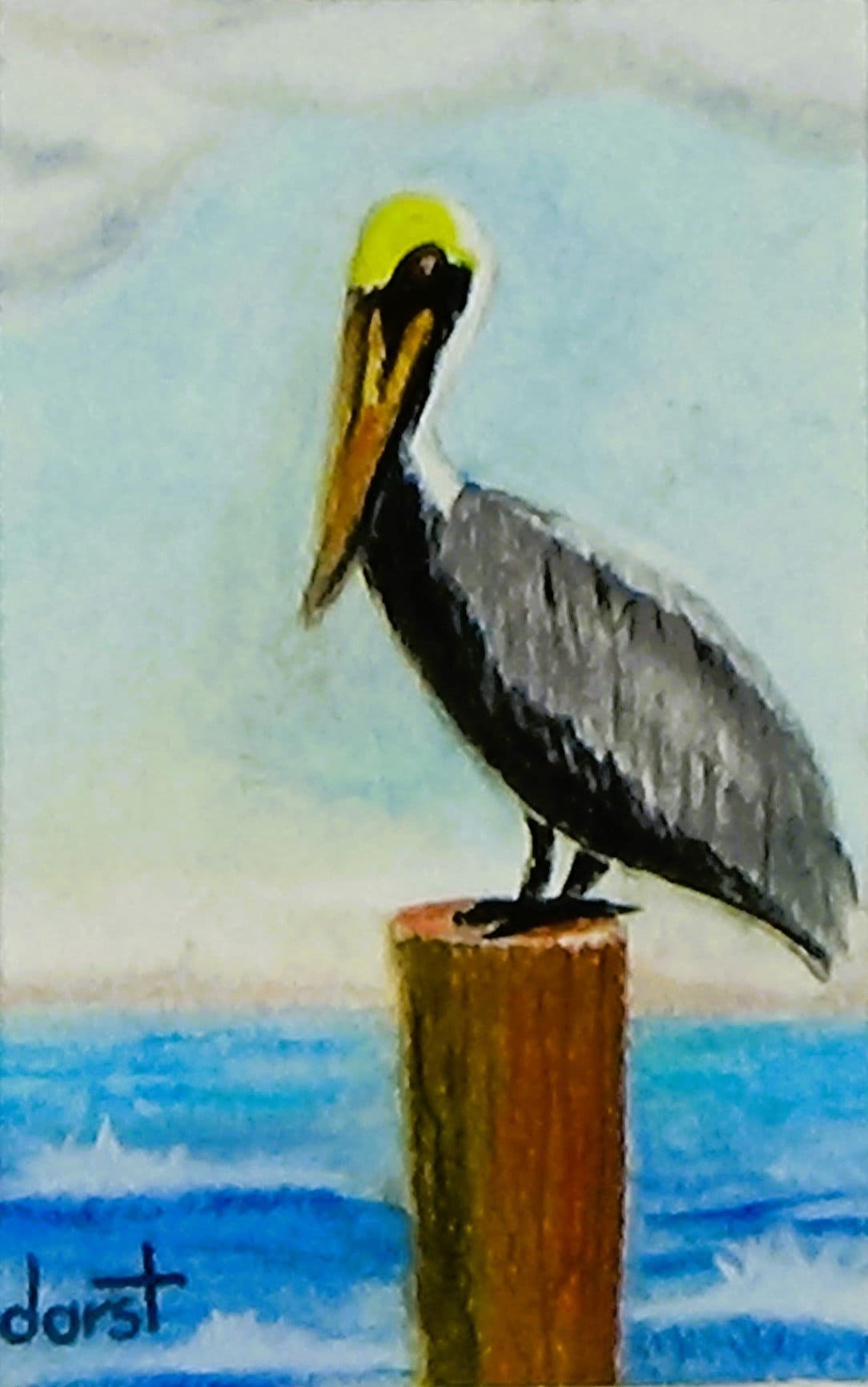 Pelican on a post