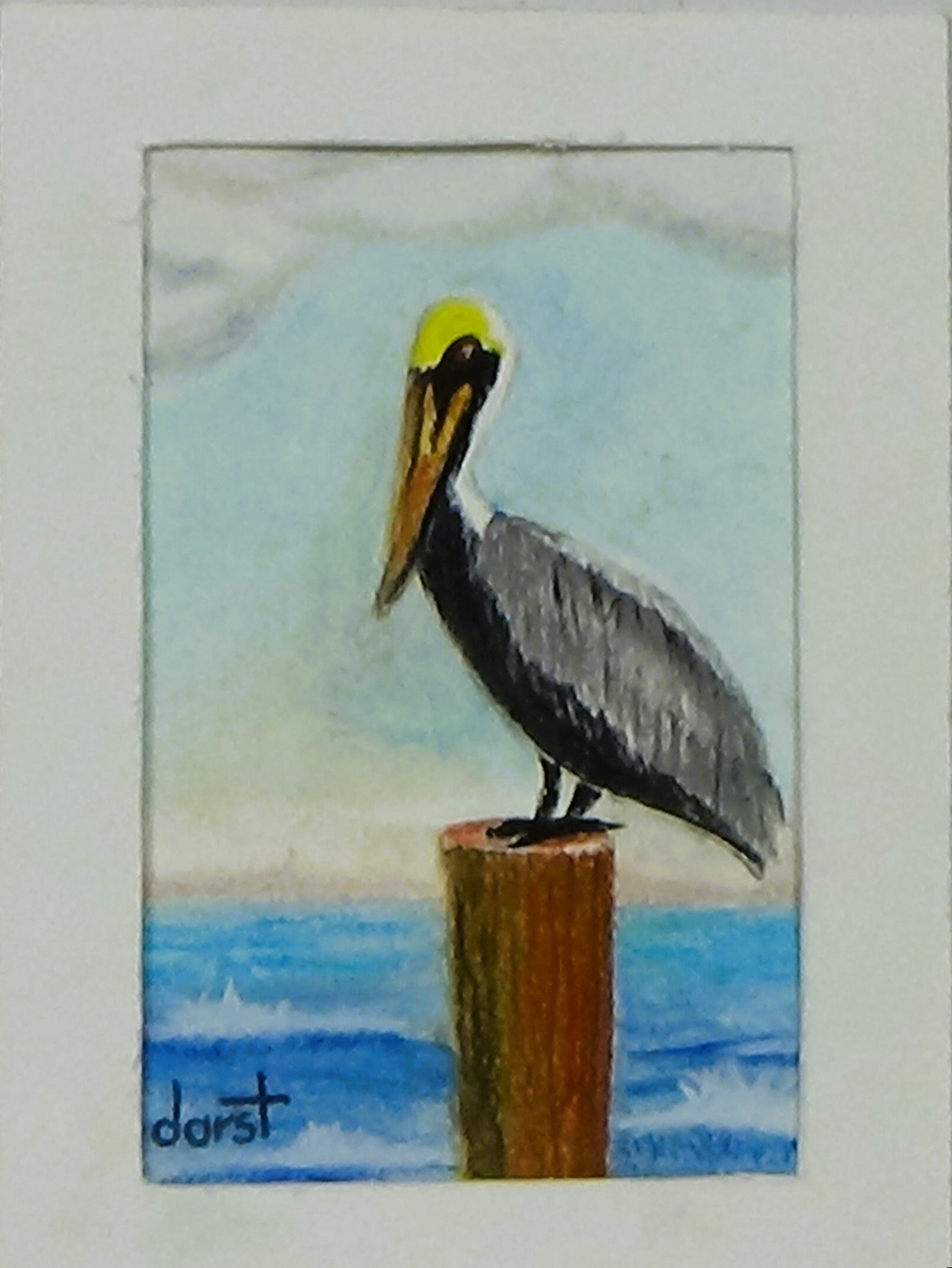 Pelican on a post, view 2