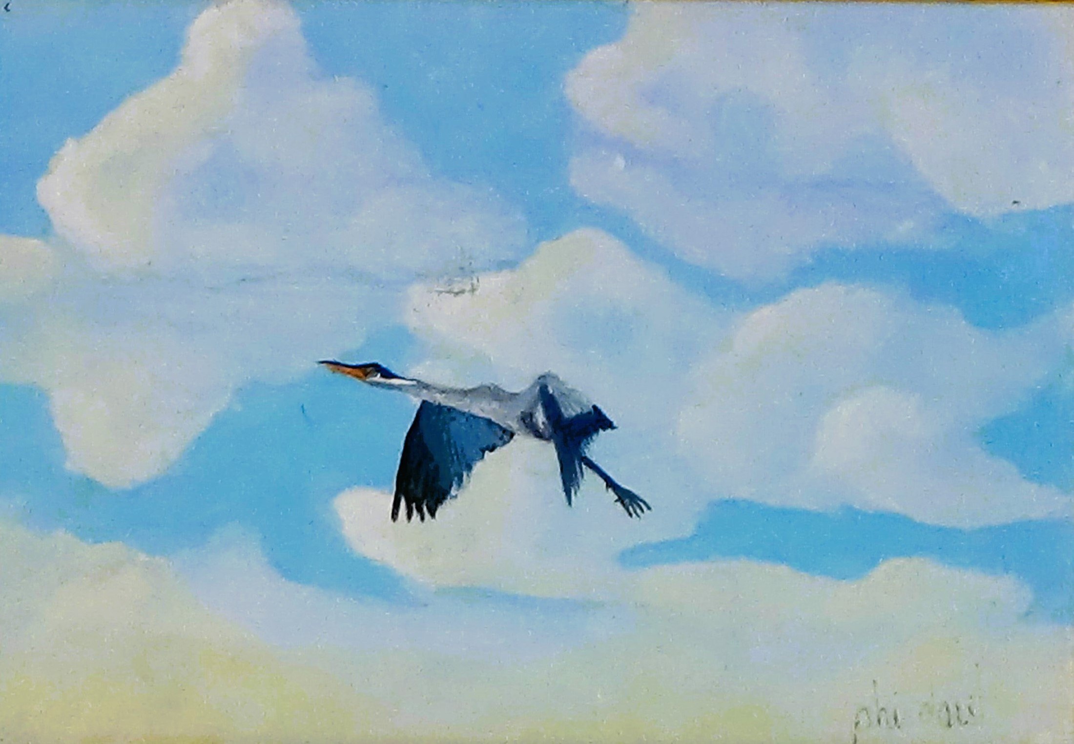 Majestic Blue Heron in Flight