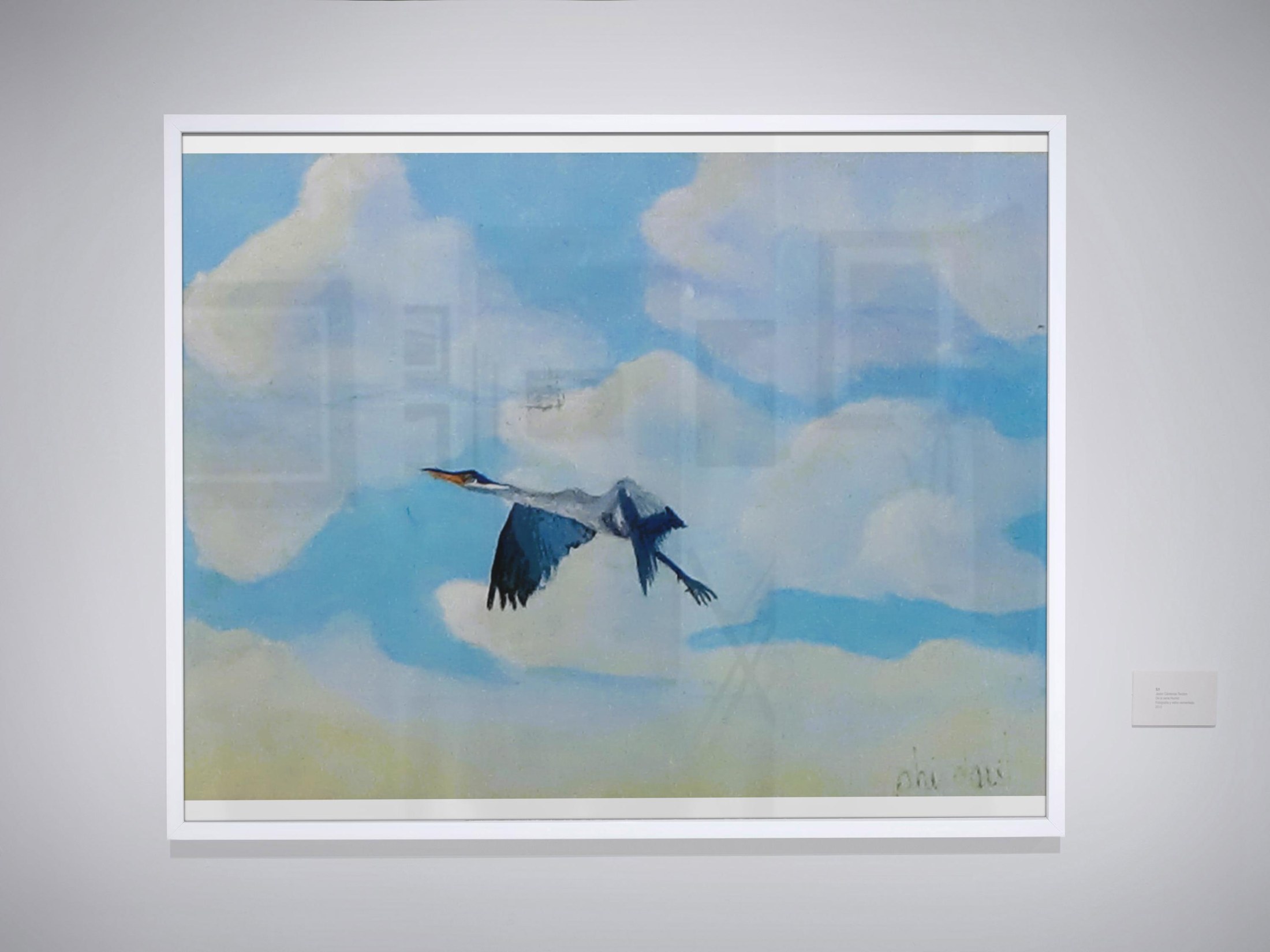 Majestic Blue Heron in Flight, view 2