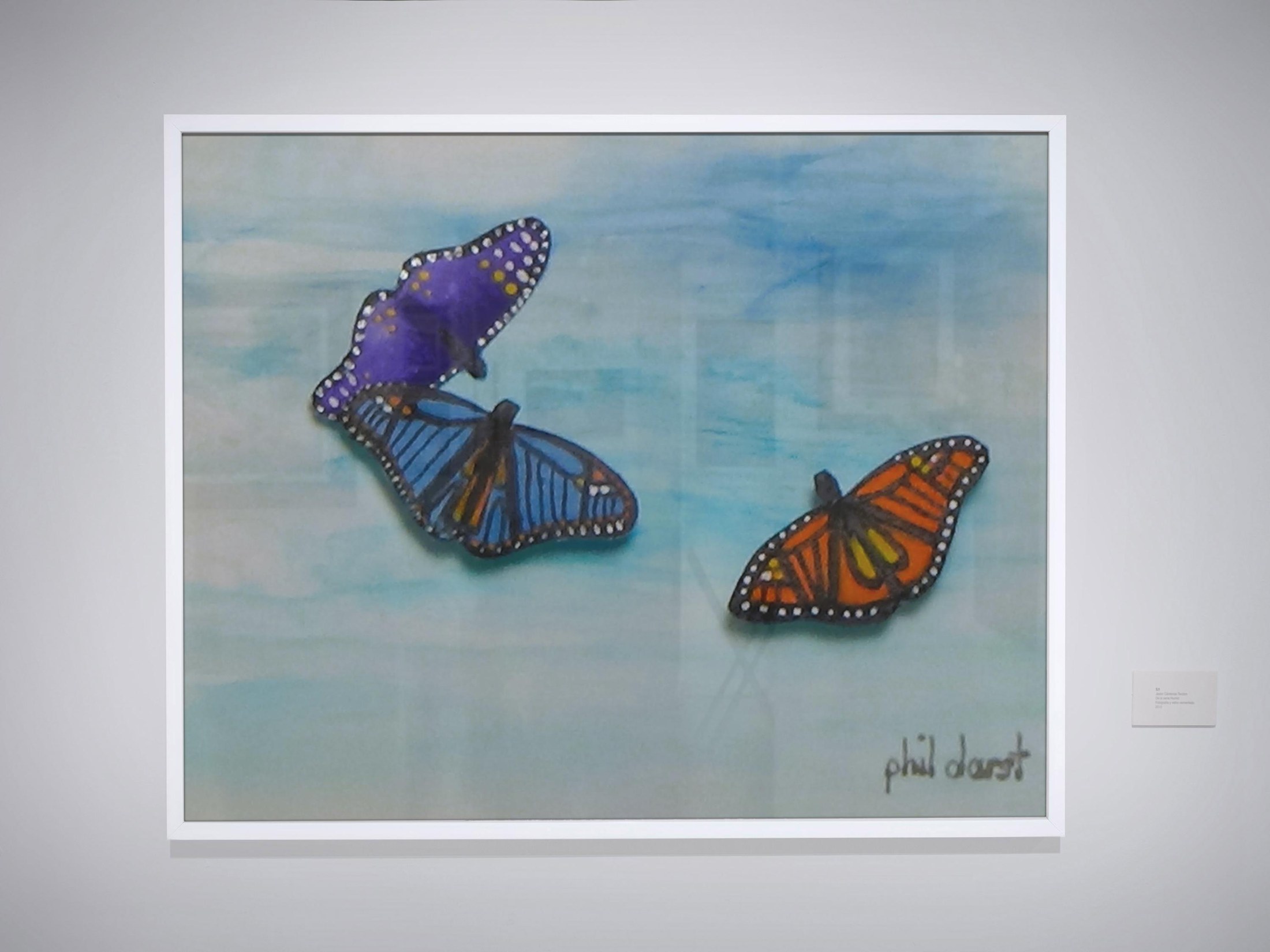 3D Butterfly Wall Art: Hand-Painted Acrylic, Alcohol Ink, Tropical Decor, view 2