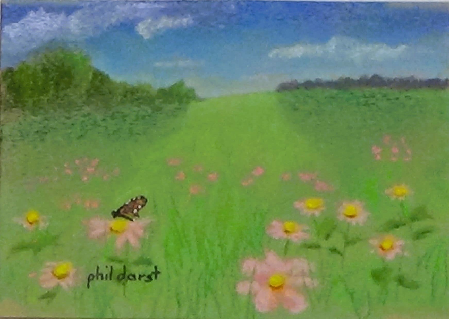 Pink flowers in a sunny meadow