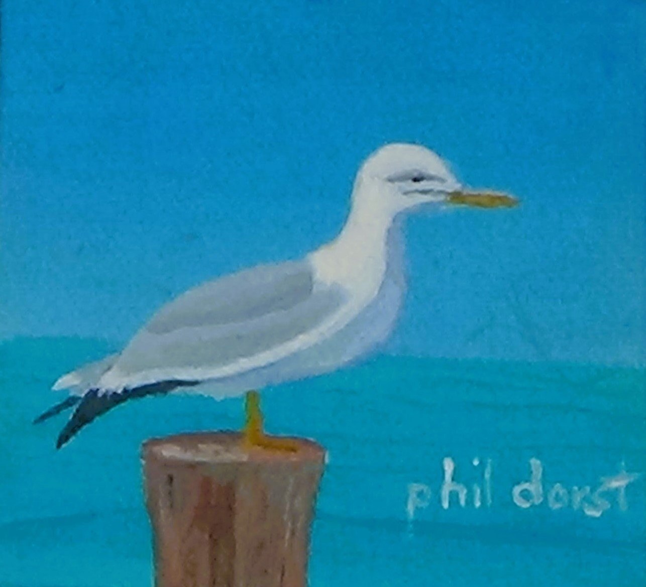Seagull on a post, view 2