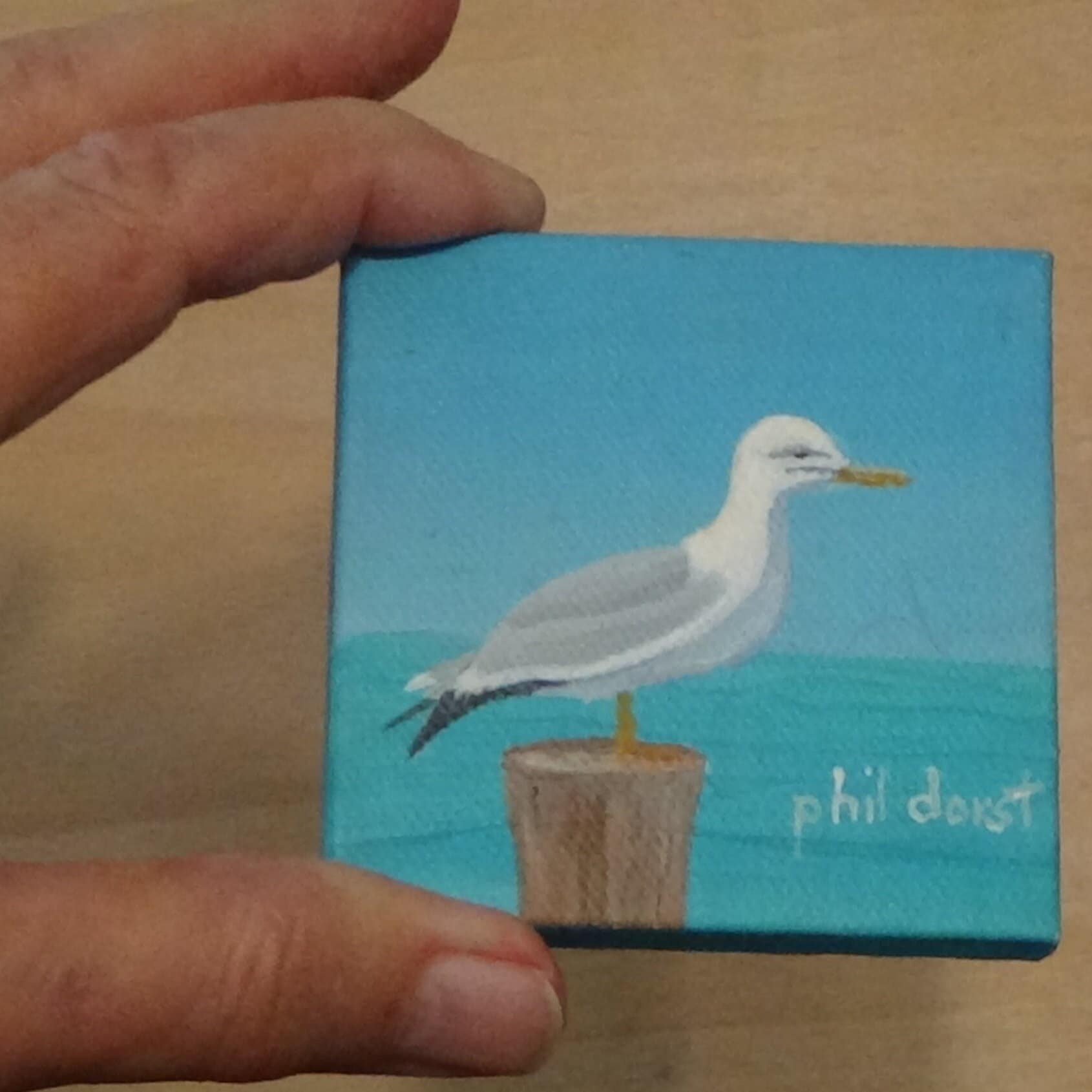 Seagull on a post, view 3