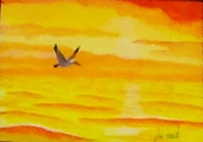 Pelican in flight in golden sky
