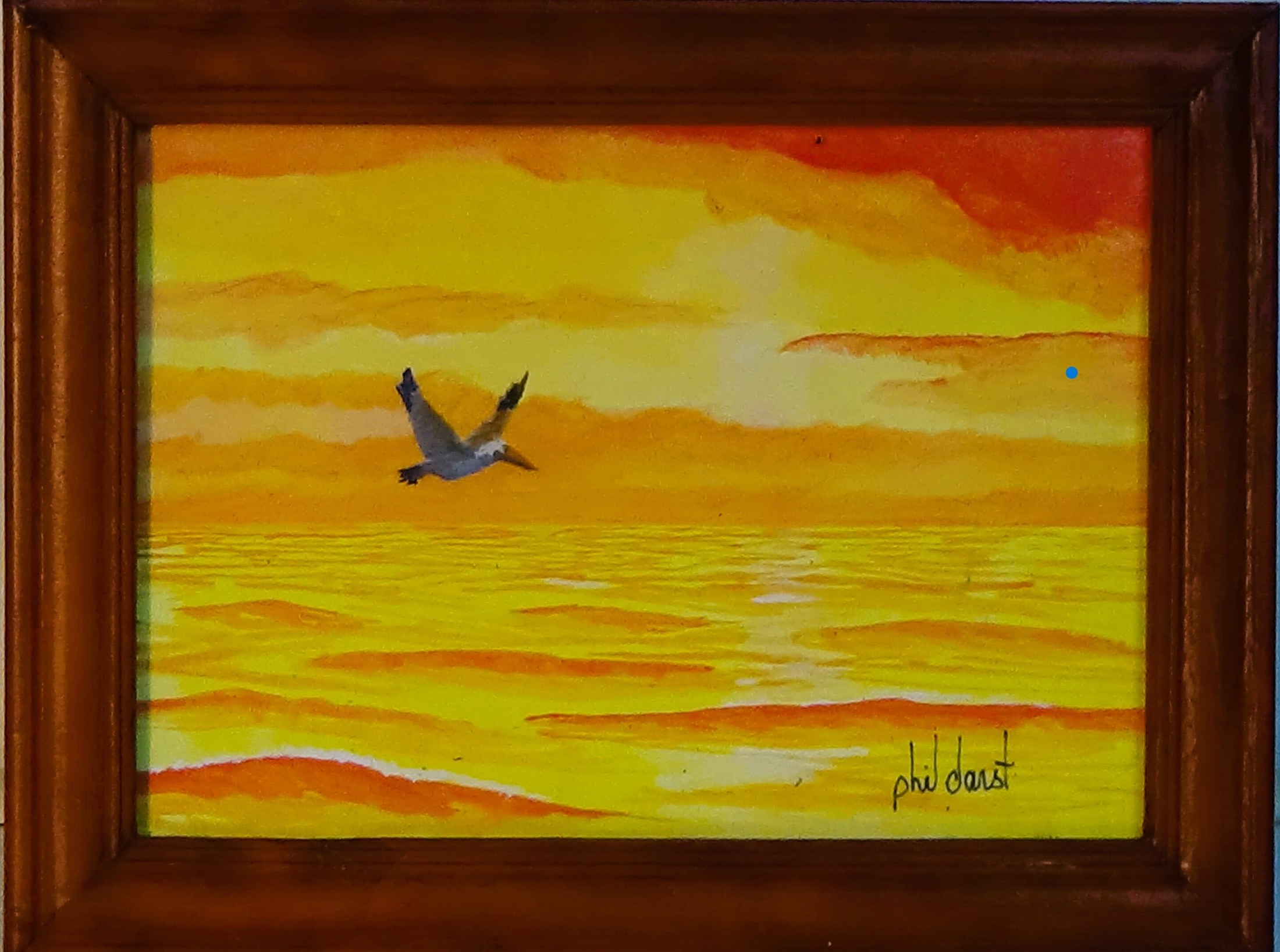 Pelican in flight in golden sky, view 3