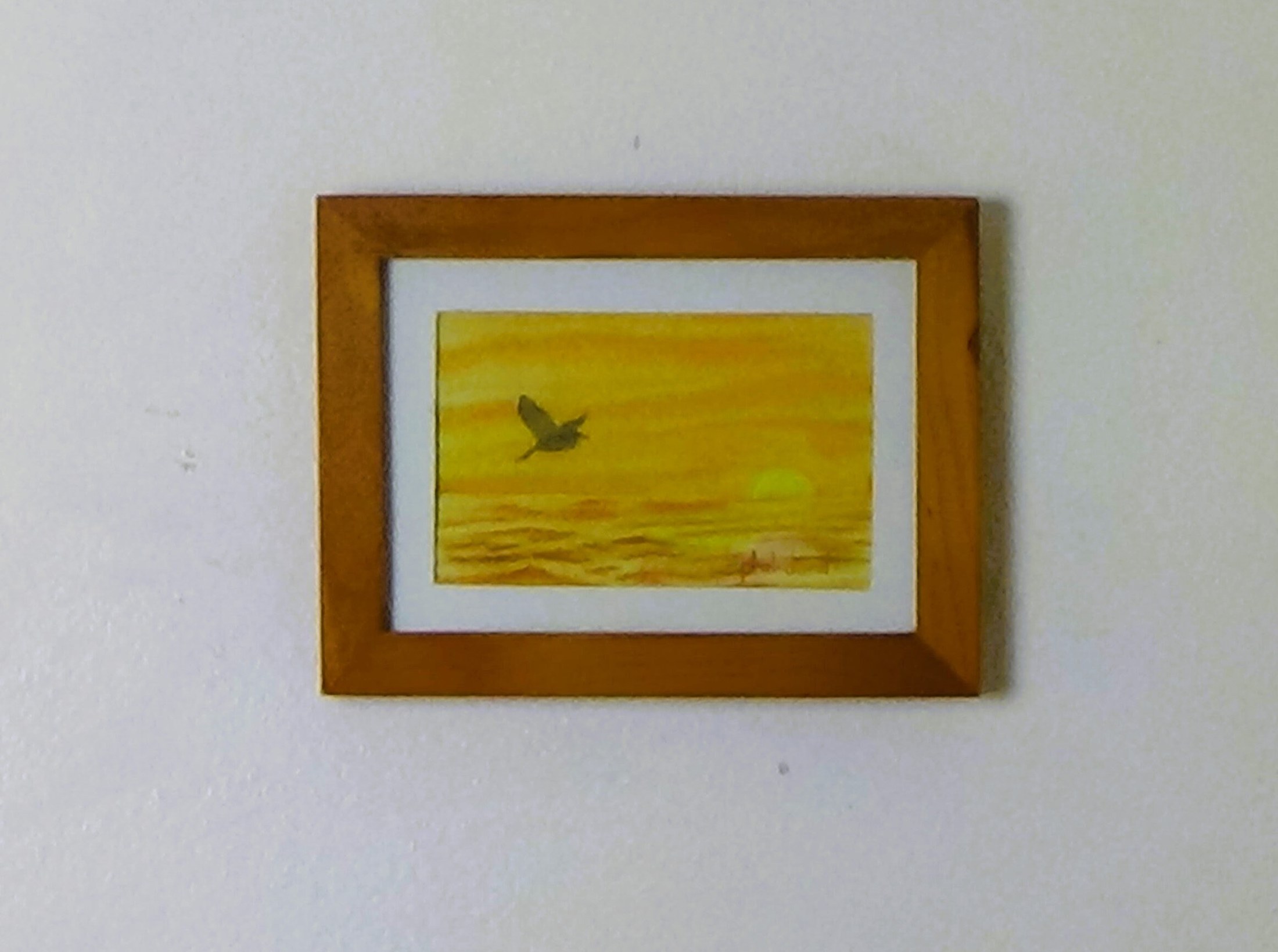 Pelican in flight in golden sky, view 4