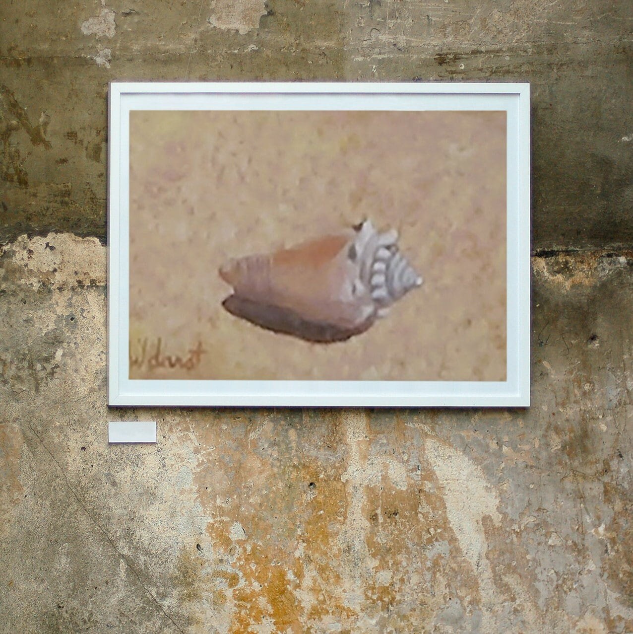 Shell on the beach #1, view 3