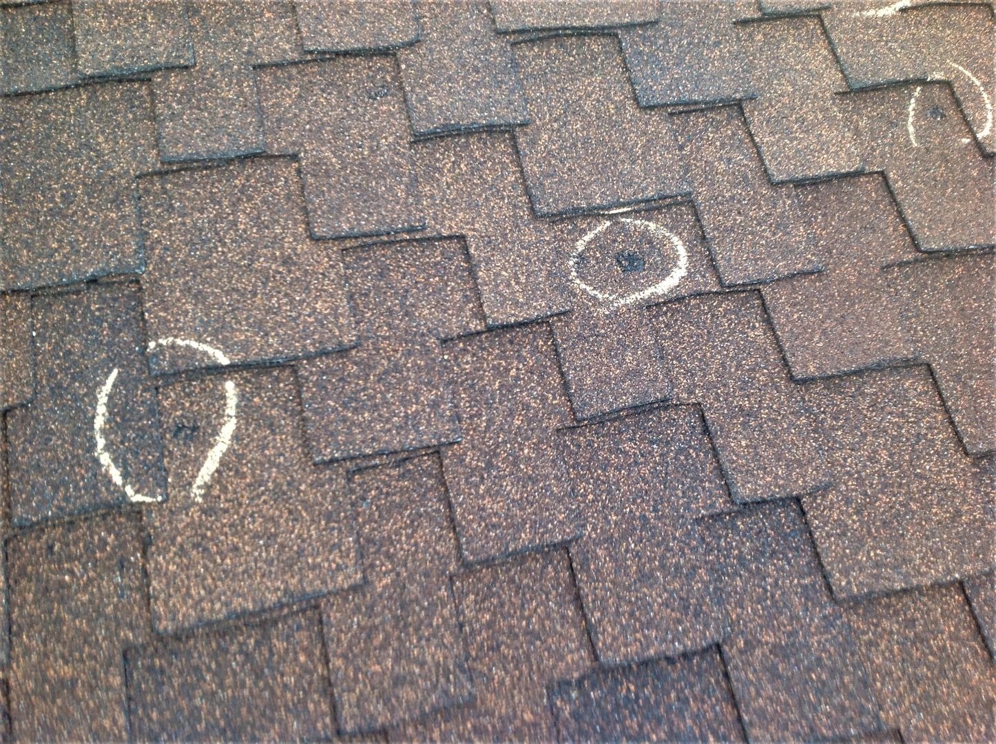 Damaged shingles that may need professional inspection