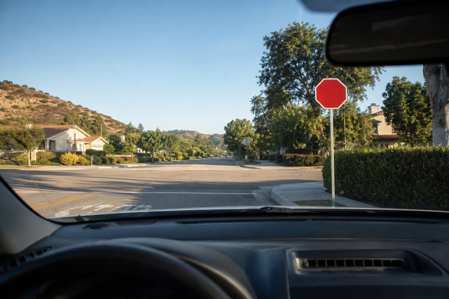 California neighborhood street viewed from a car