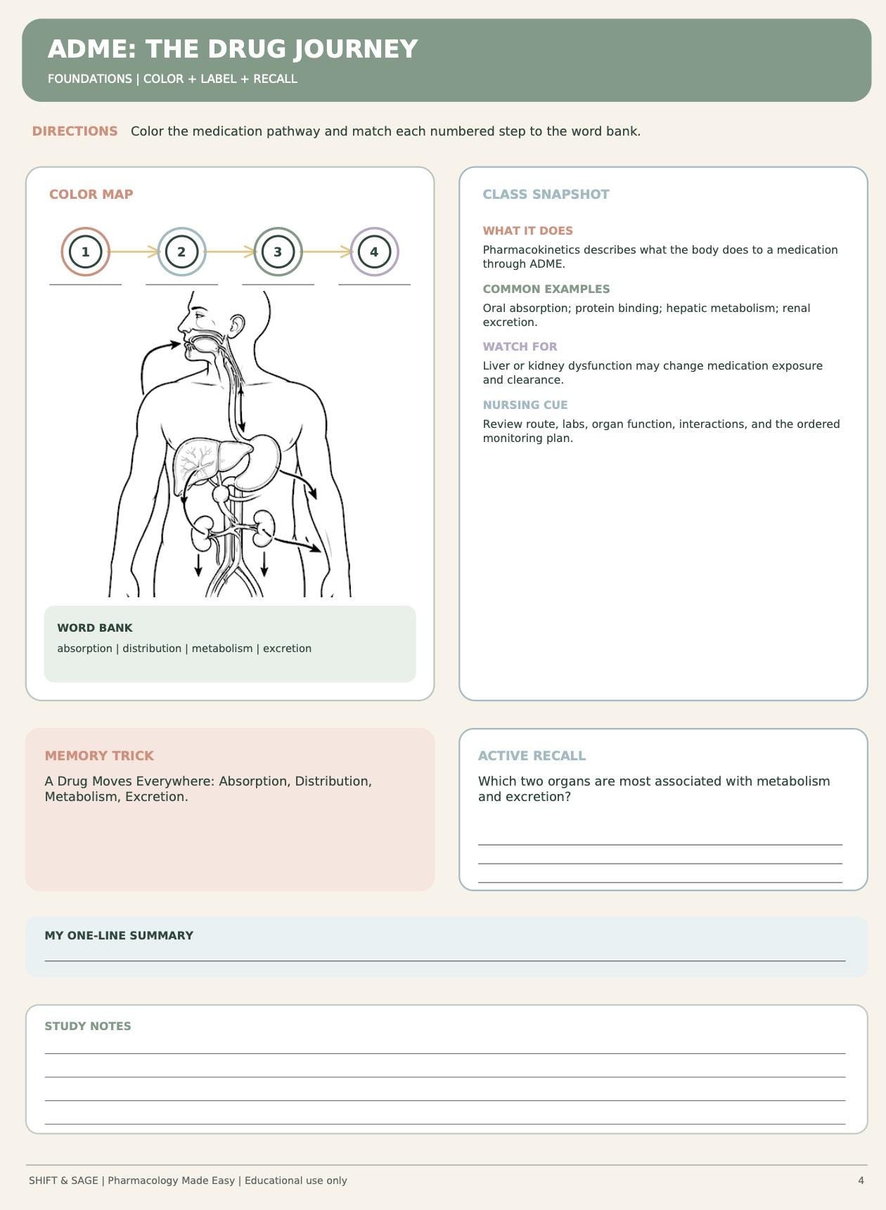 Pharmacology Coloring Book for Nursing Students | 43-Page Active Recall Workbook (Digital Download), view 4