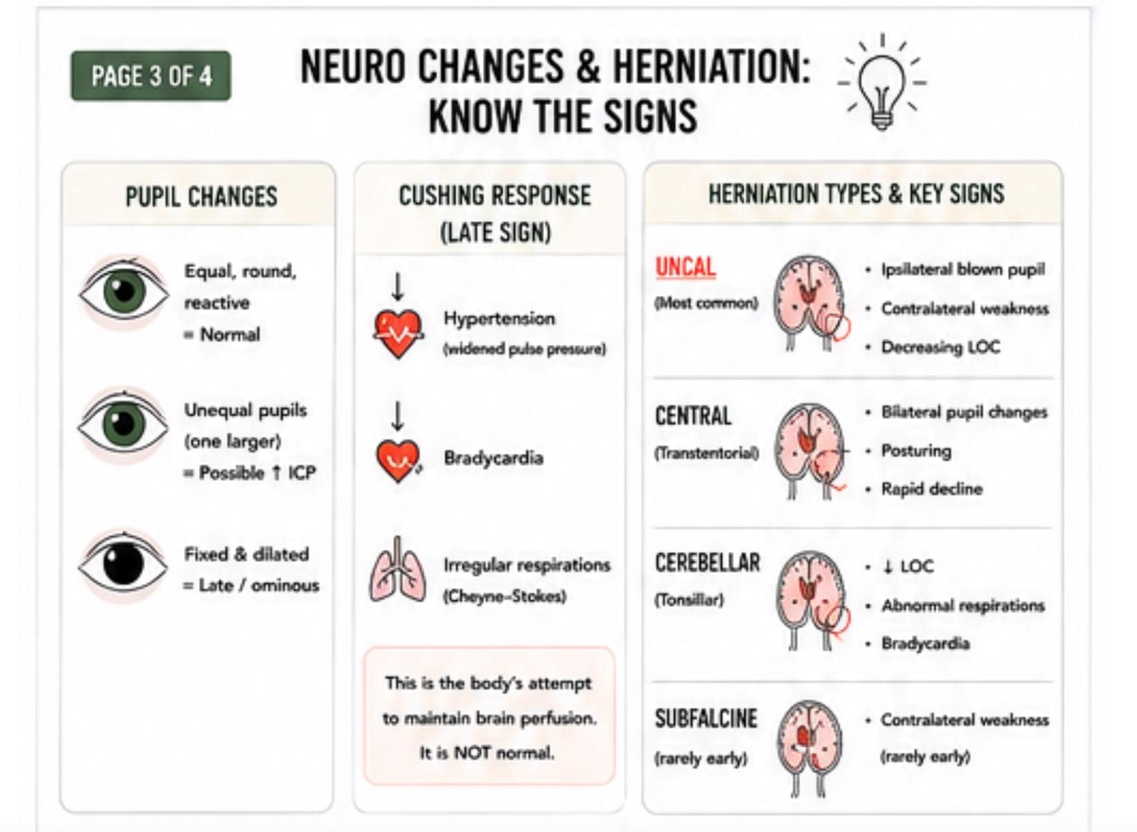 Neuro ICP Nursing Study Guide, EVD CPP Critical Care Notes (pdf), view 5