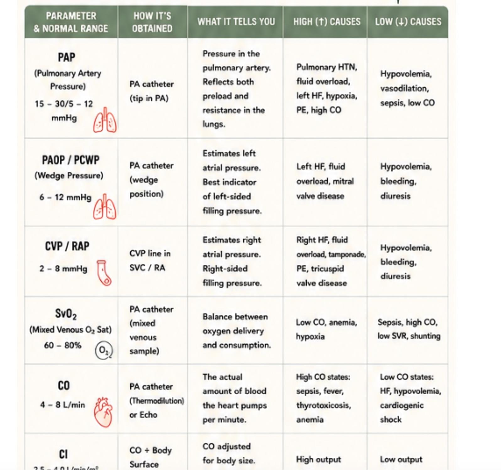 Hemodynamics Made Easy Nursing Study Guide, ADHD-Friendly Critical Care Notes, 3-Page Printable PDF, view 2