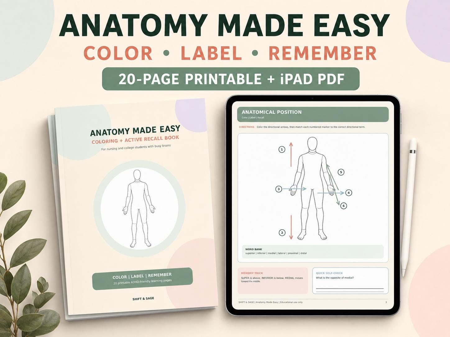 Anatomy Made Easy Coloring Book | Nursing Student Study Guide (PDF)
