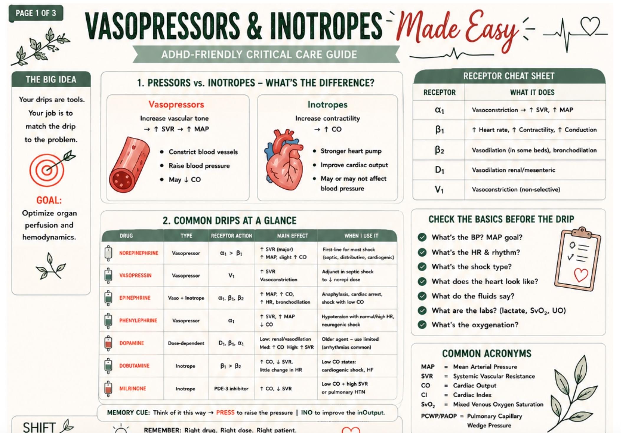Vasopressors Made Easy Nursing Study Guide, ADHD-Friendly ICU Drip Reference, Printable PDF, view 2