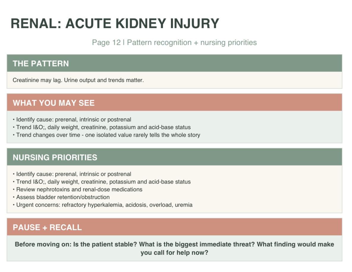 Med-Surg Nursing Study Guide Bundle, ADHD-Friendly Nursing Notes, 20-Page Printable PDF, view 2