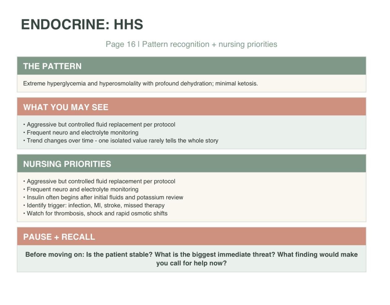 Endocrine Nursing Study Guide, ADHD-Friendly Med-Surg Notes, 3-Page Printable PDF, view 2